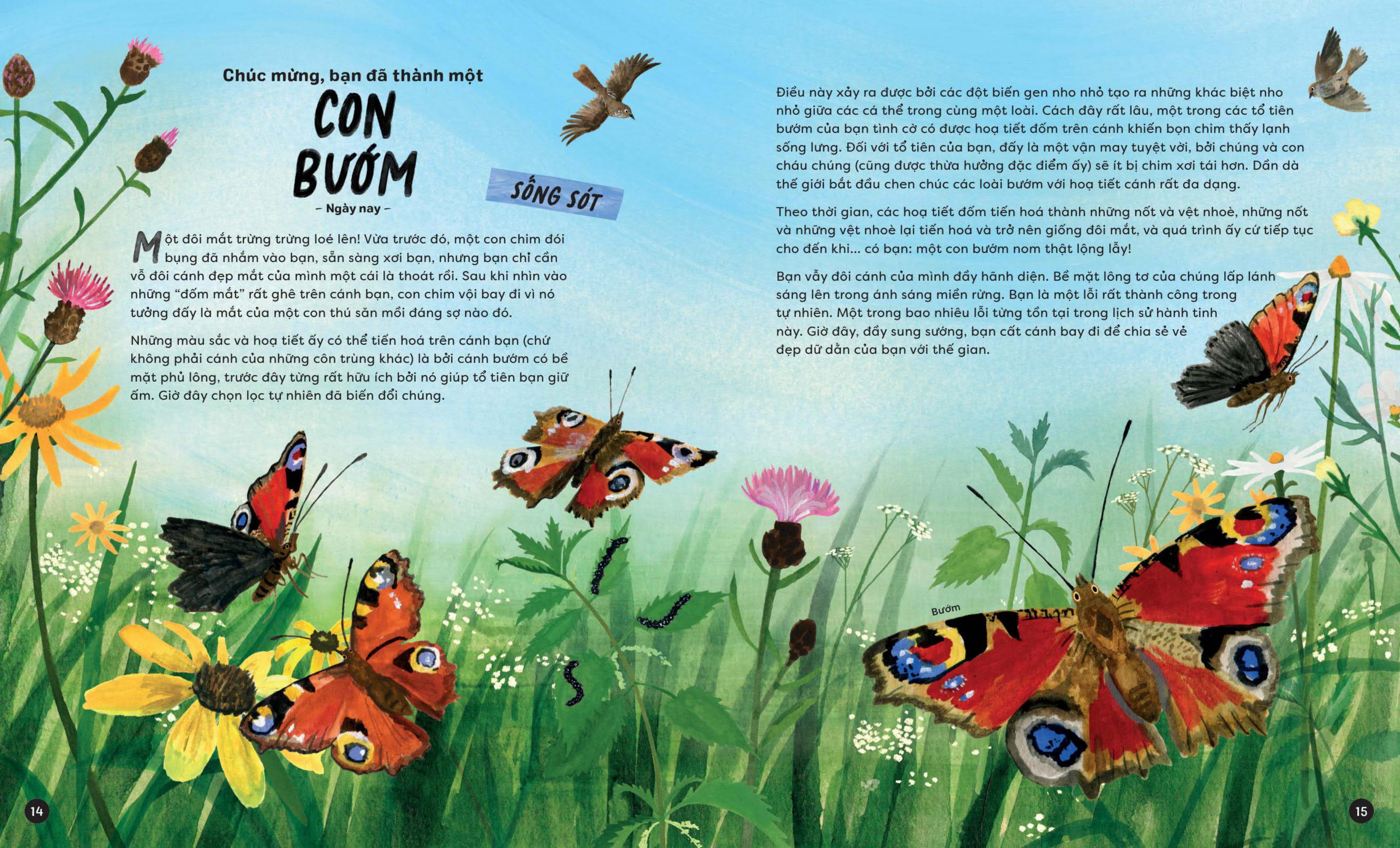 Nhập Vai Tiến Hoá Của Muôn Loài - Tuyệt Chủng Hay Sống Sót? - Ảnh 8