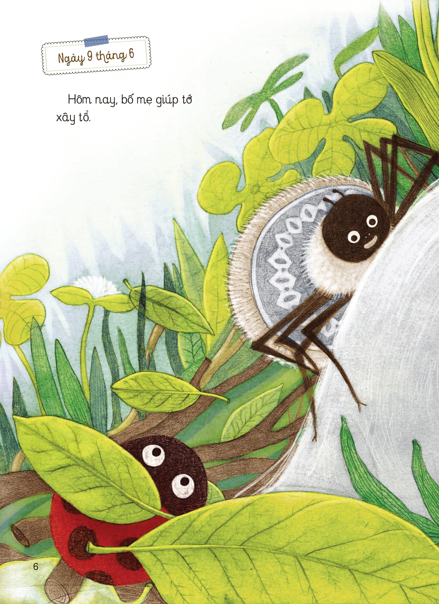 nhật kí thế giới côn trùng và những loài cùng hệ sinh thái - nhật kí nhện - Ảnh 2