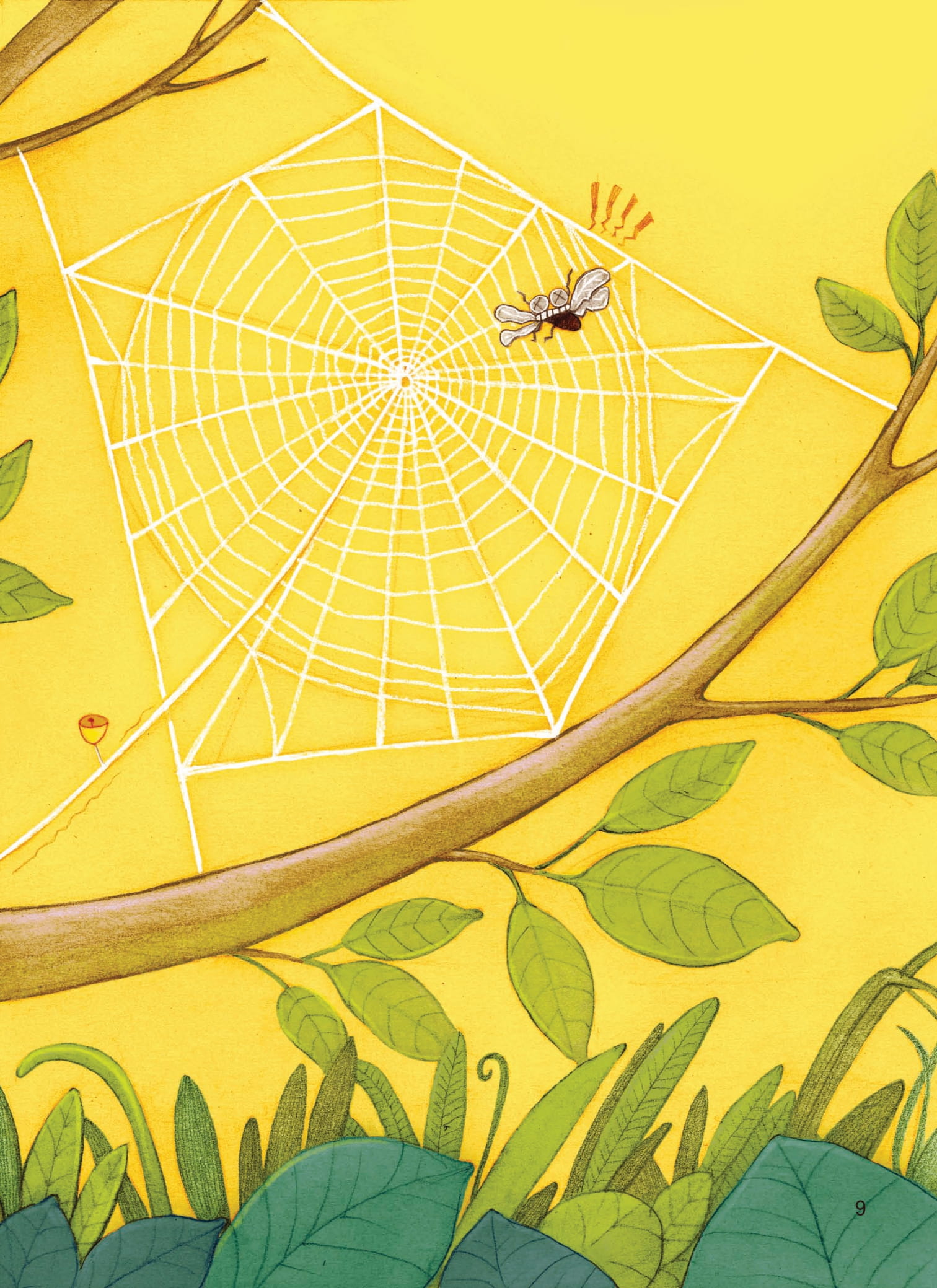 nhật kí thế giới côn trùng và những loài cùng hệ sinh thái - nhật kí nhện - Ảnh 5