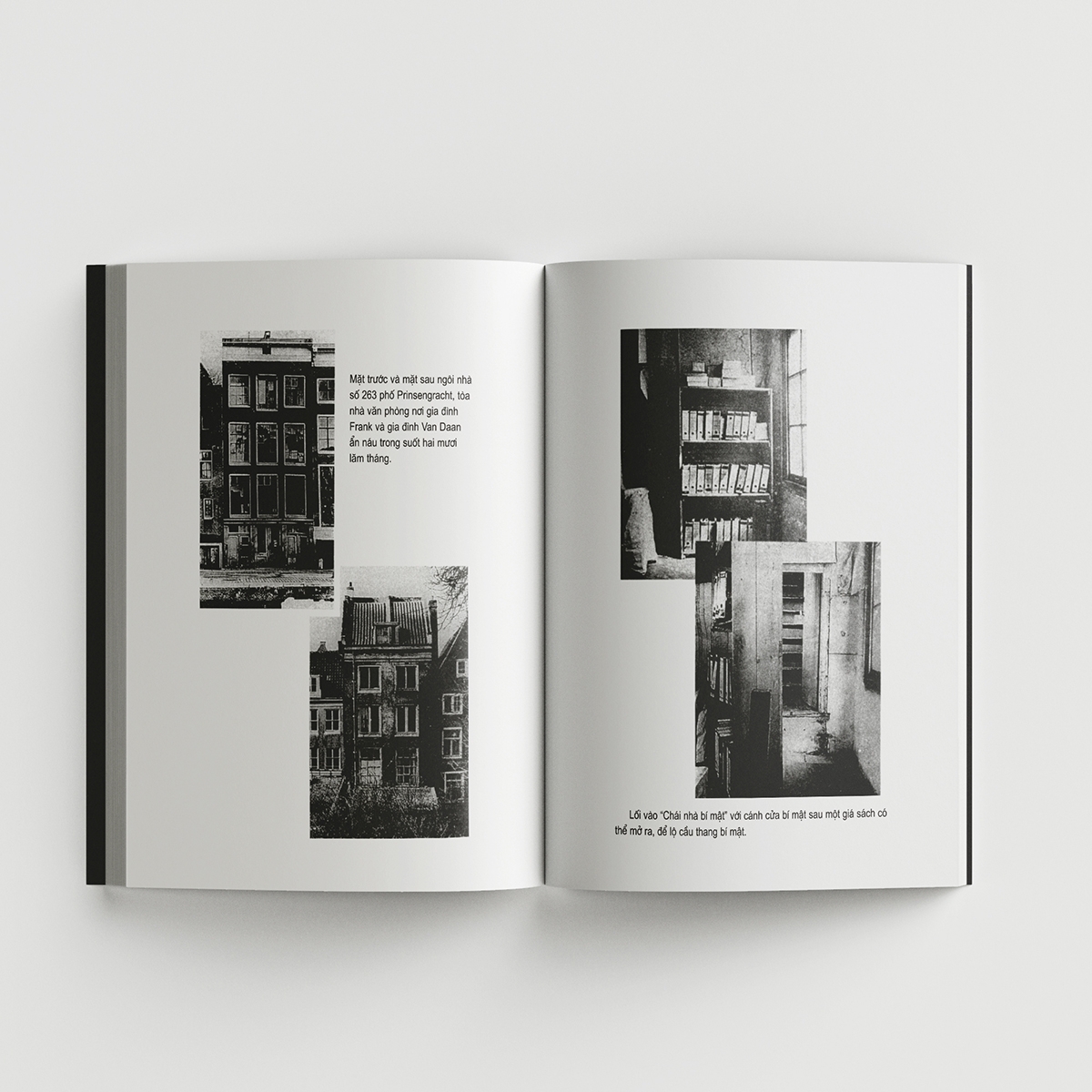 nhật ký anne frank - Ảnh 2