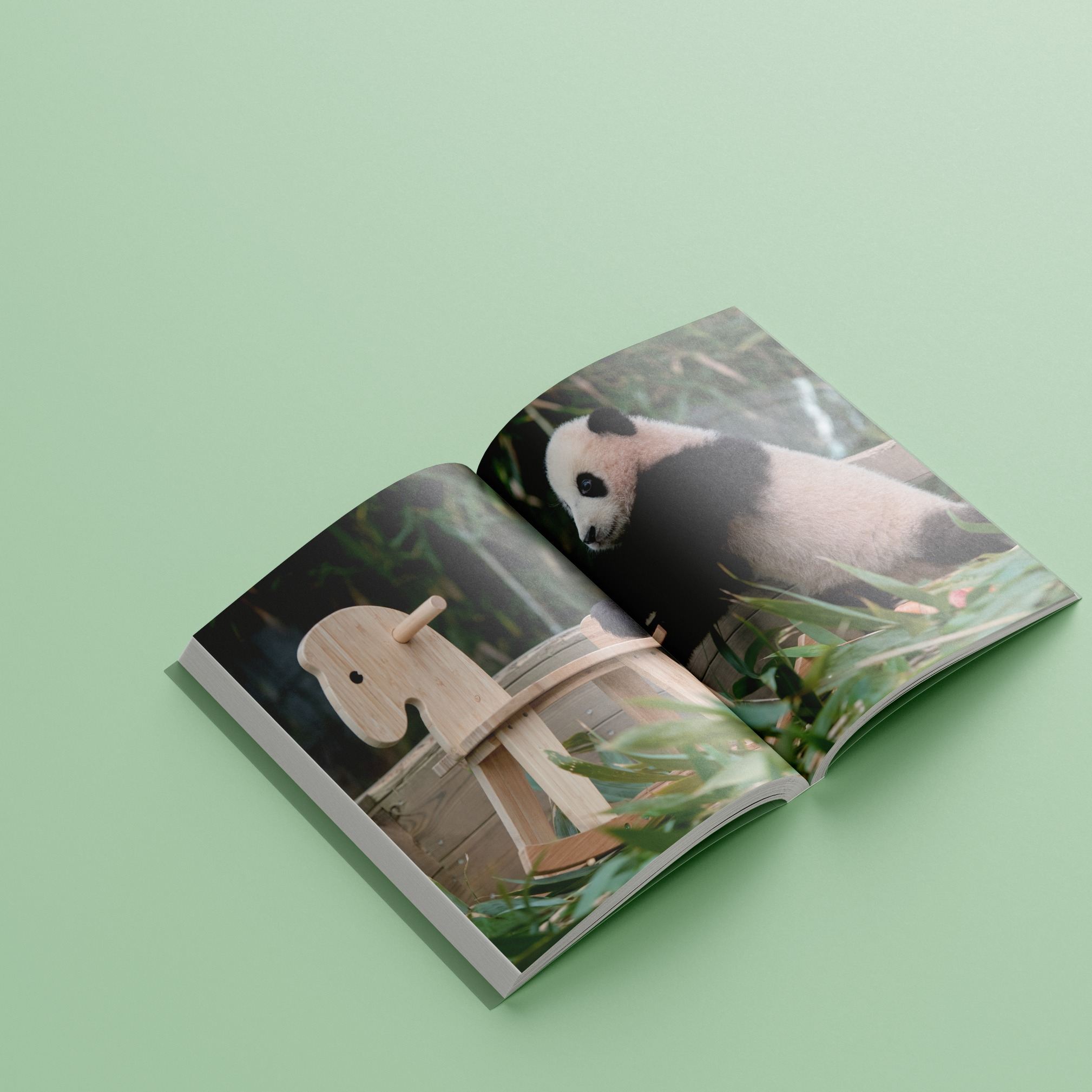 nhật ký hạnh phúc của công chúa fubao (tái bản) - tặng kèm bookmark - Ảnh 5