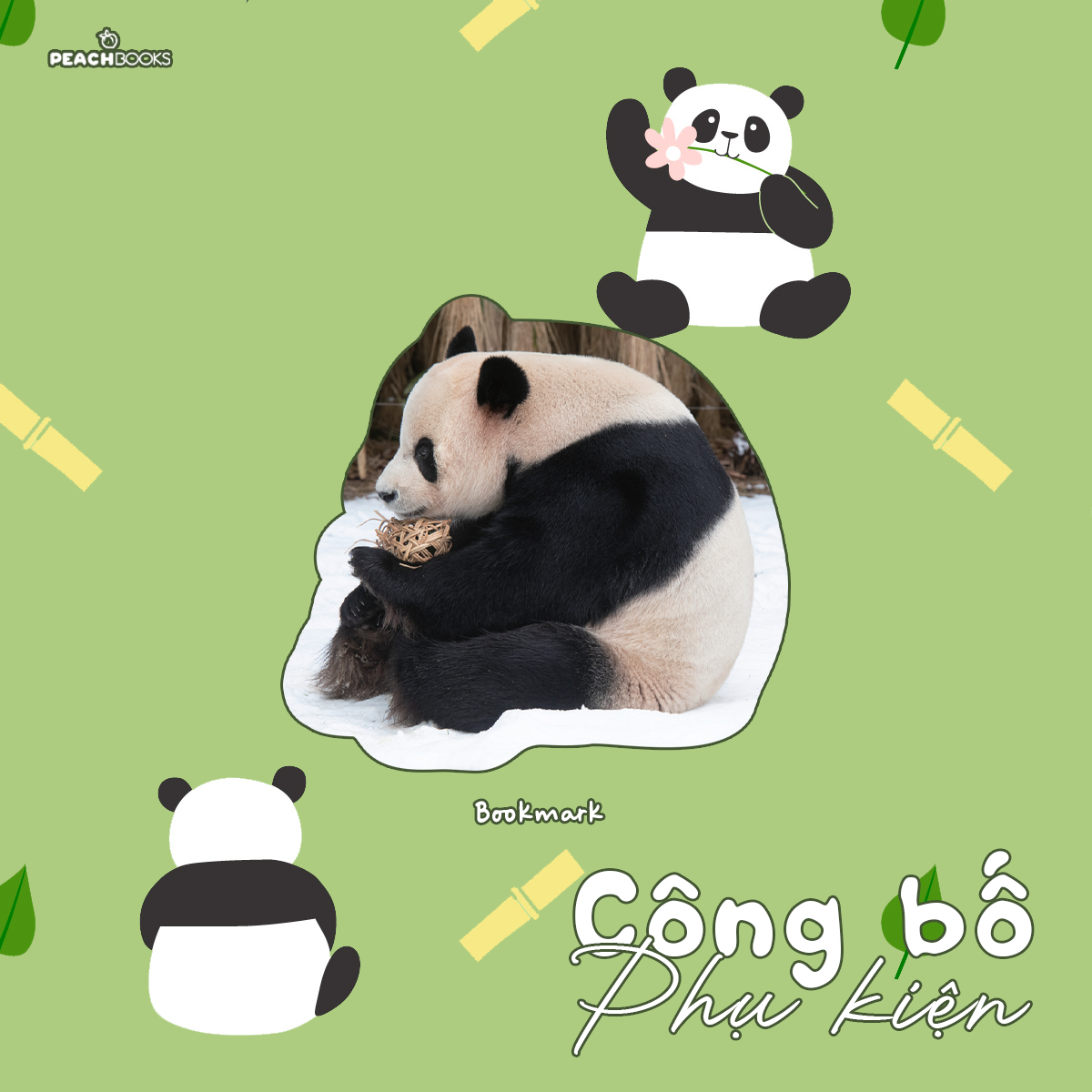 nhật ký hạnh phúc của công chúa fubao (tái bản) - tặng kèm bookmark - Ảnh 8