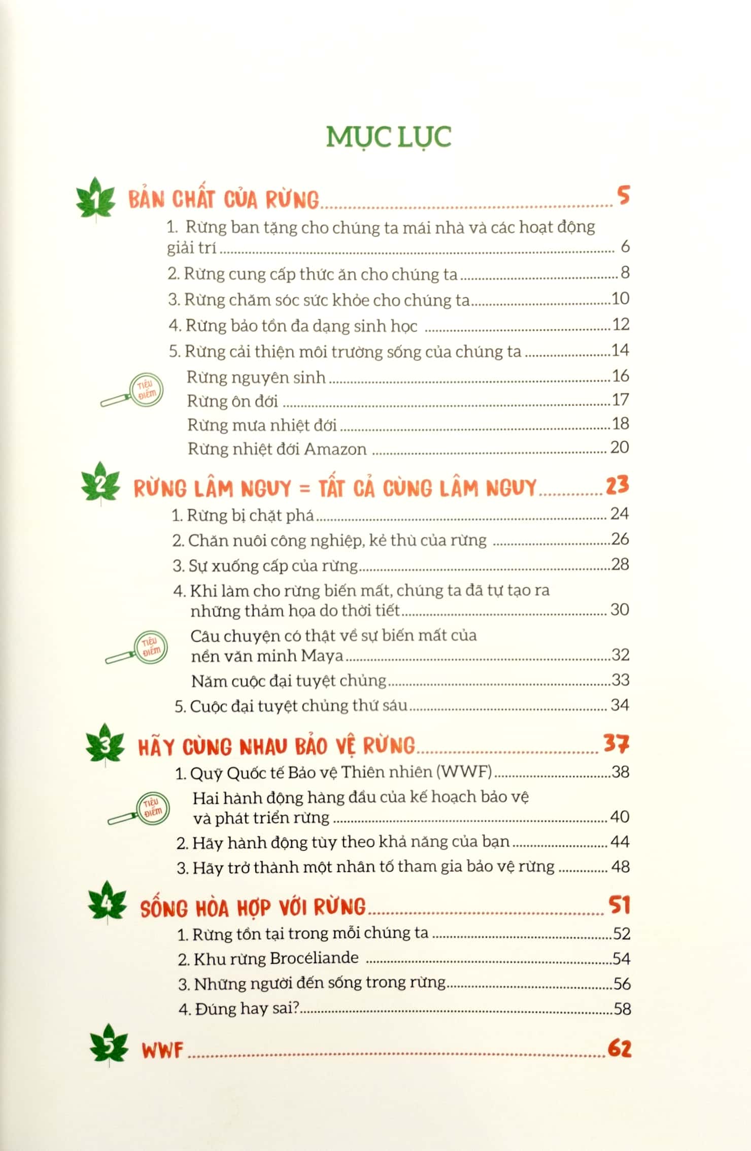 nhiệm vụ bảo vệ rừng - Ảnh 3