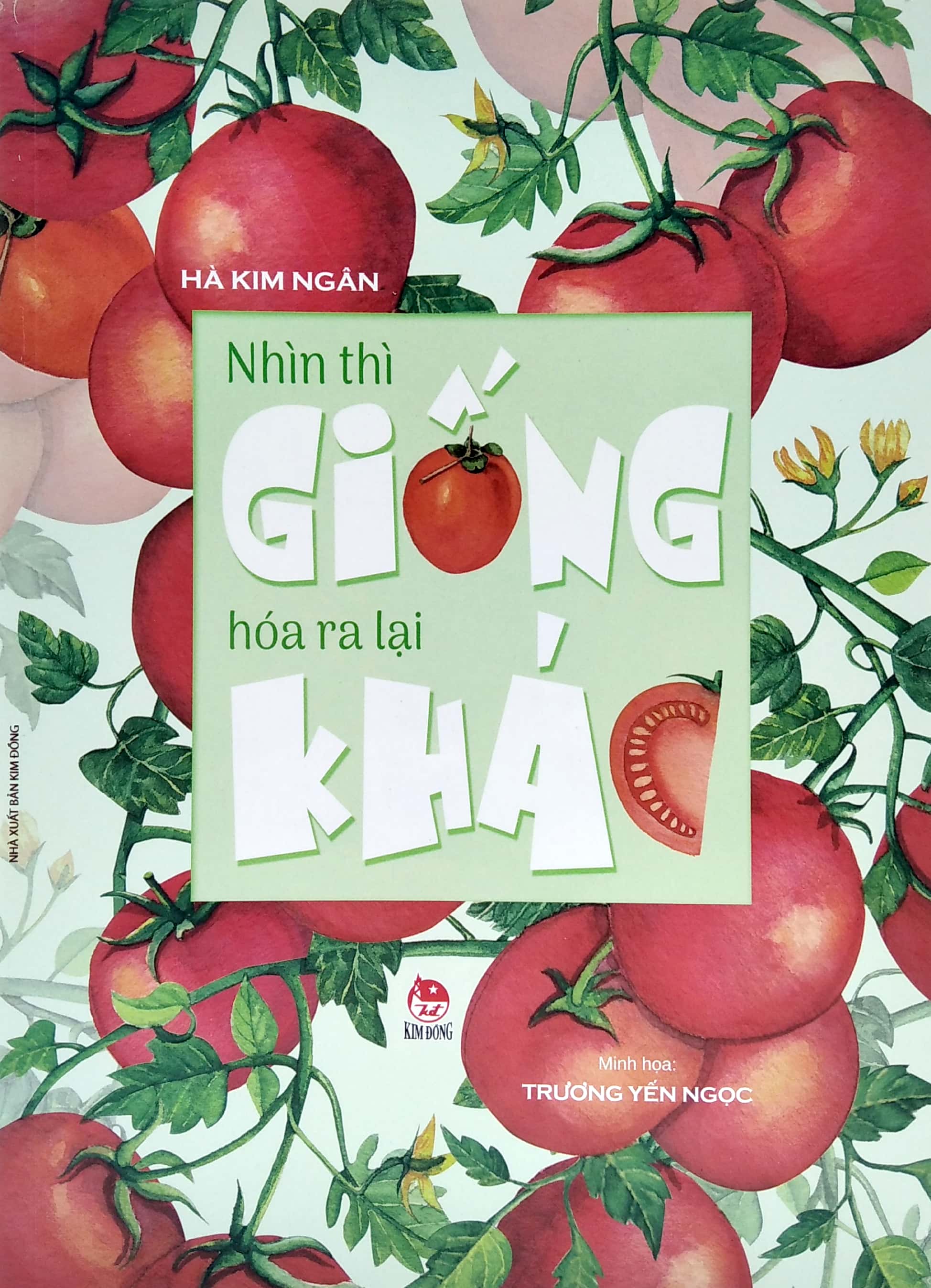 nhìn thì giống hóa ra lại khác - Ảnh 3