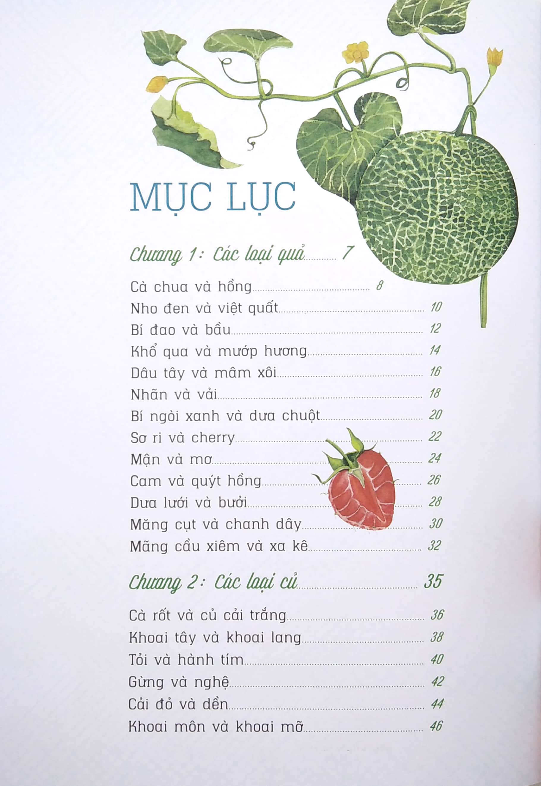 nhìn thì giống hóa ra lại khác - Ảnh 4