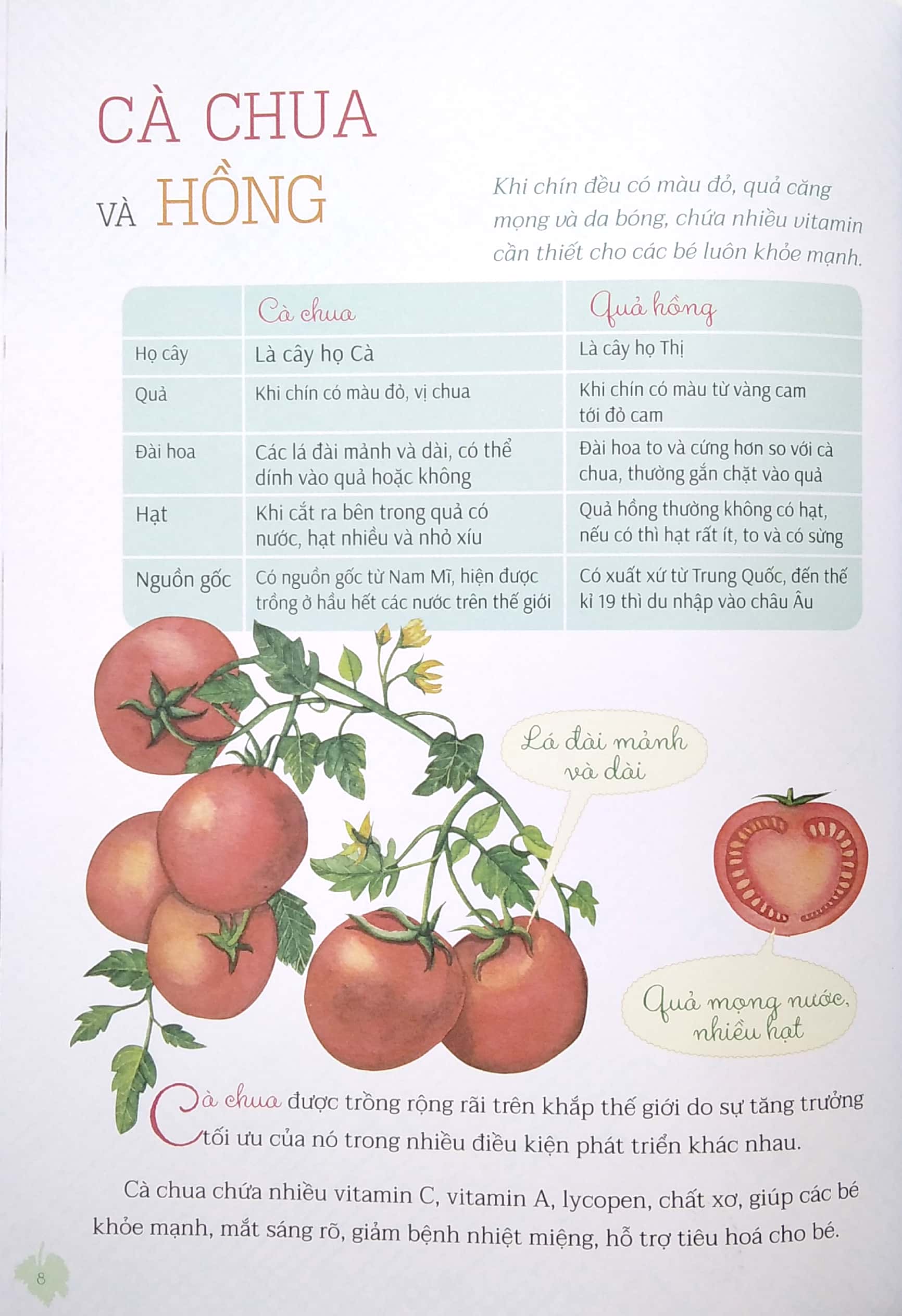 nhìn thì giống hóa ra lại khác - Ảnh 5