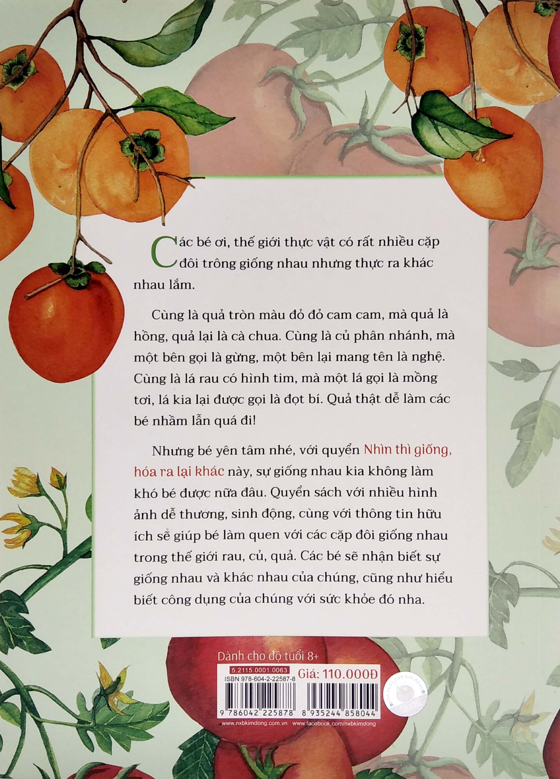 nhìn thì giống hóa ra lại khác - Ảnh 7