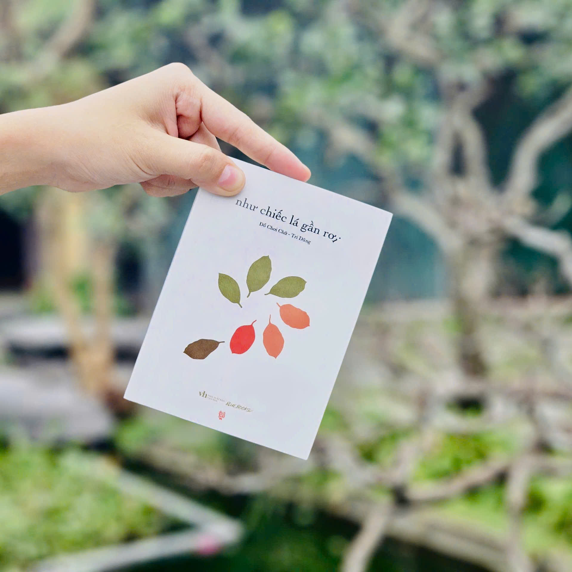 Như Chiếc Lá Gần Rơi - Ảnh 5