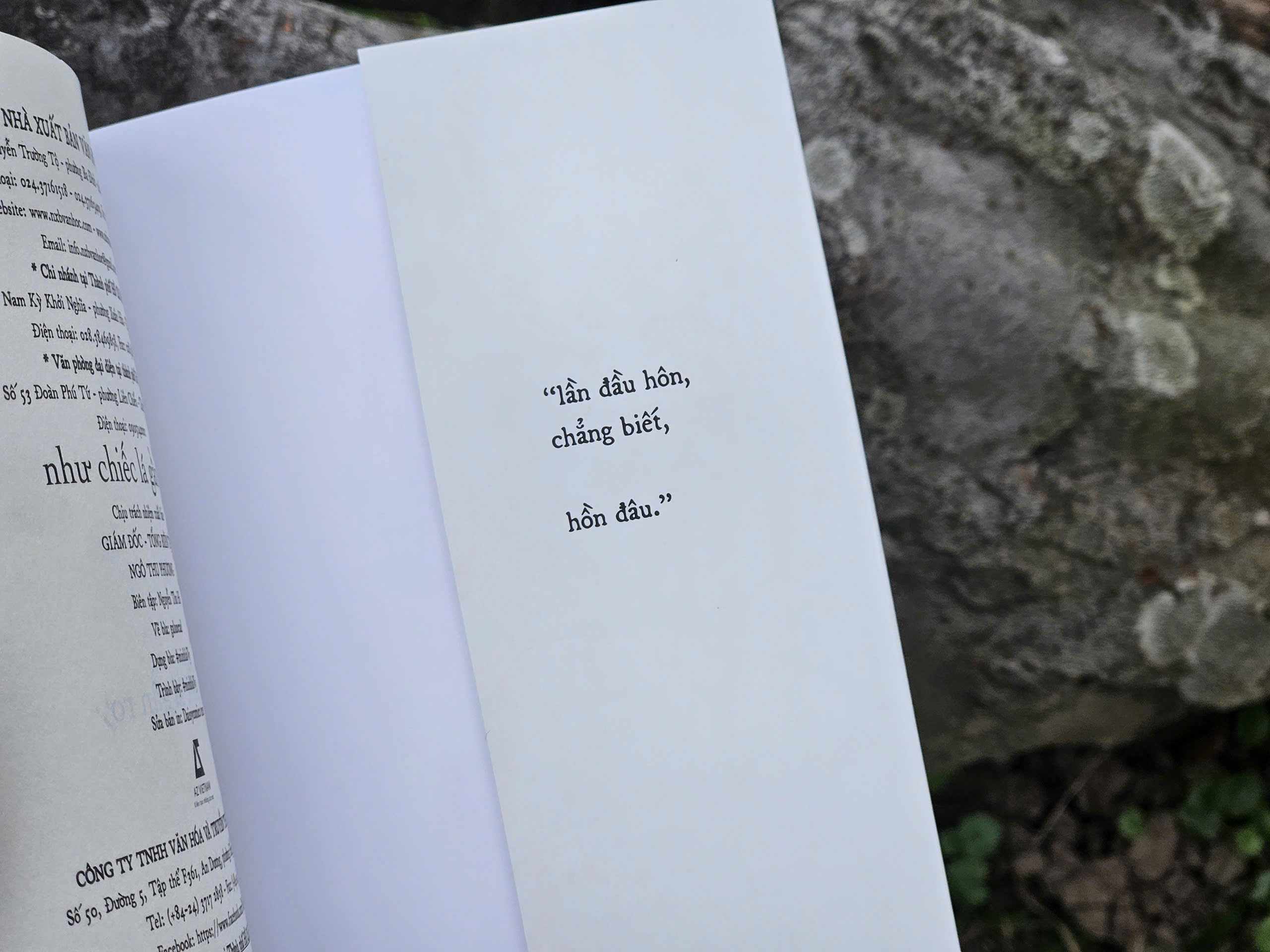 Như Chiếc Lá Gần Rơi - Ảnh 6