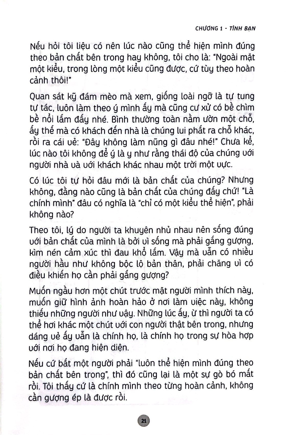 những bài học cuộc sống từ đám mèo nhà tôi - Ảnh 11