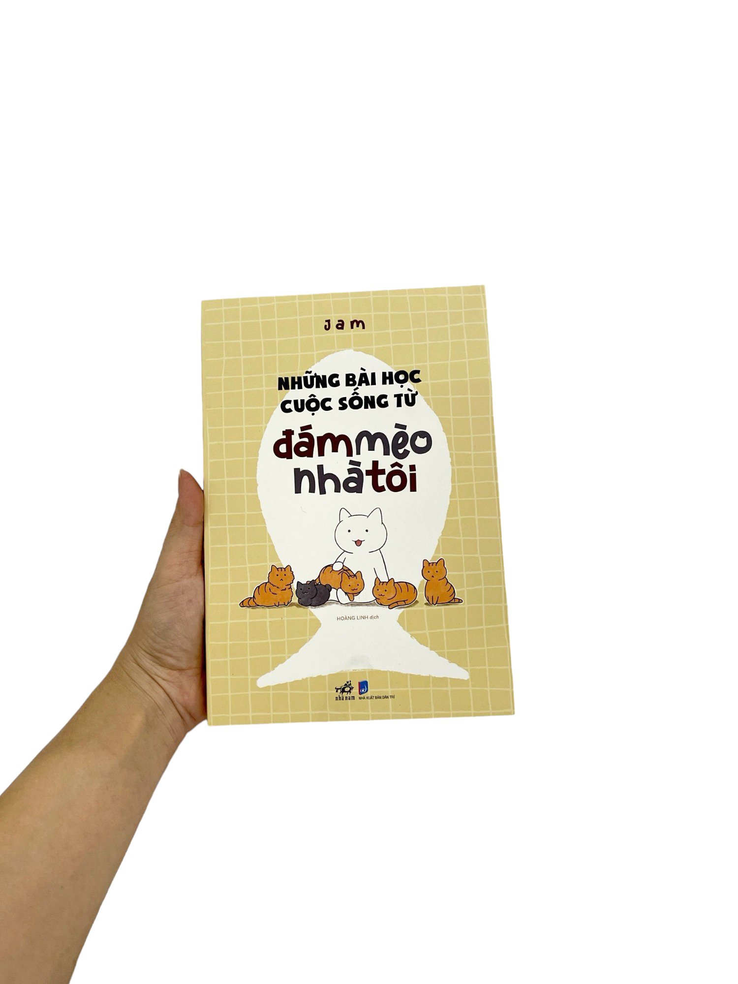 những bài học cuộc sống từ đám mèo nhà tôi - Ảnh 13