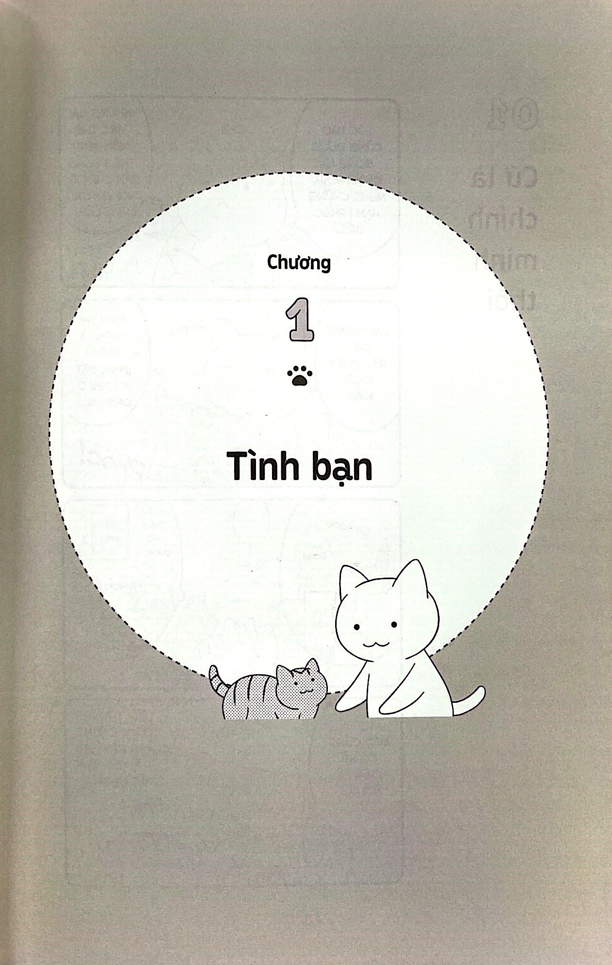 những bài học cuộc sống từ đám mèo nhà tôi - Ảnh 9