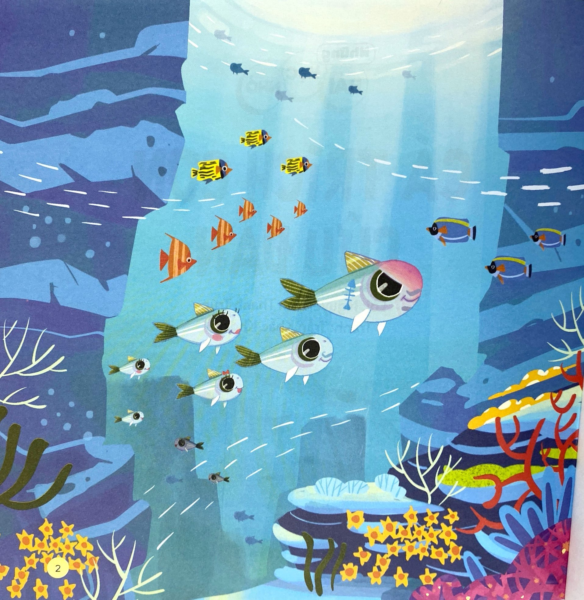 những bài học nhỏ - cá trích con cứu đàn - Ảnh 4