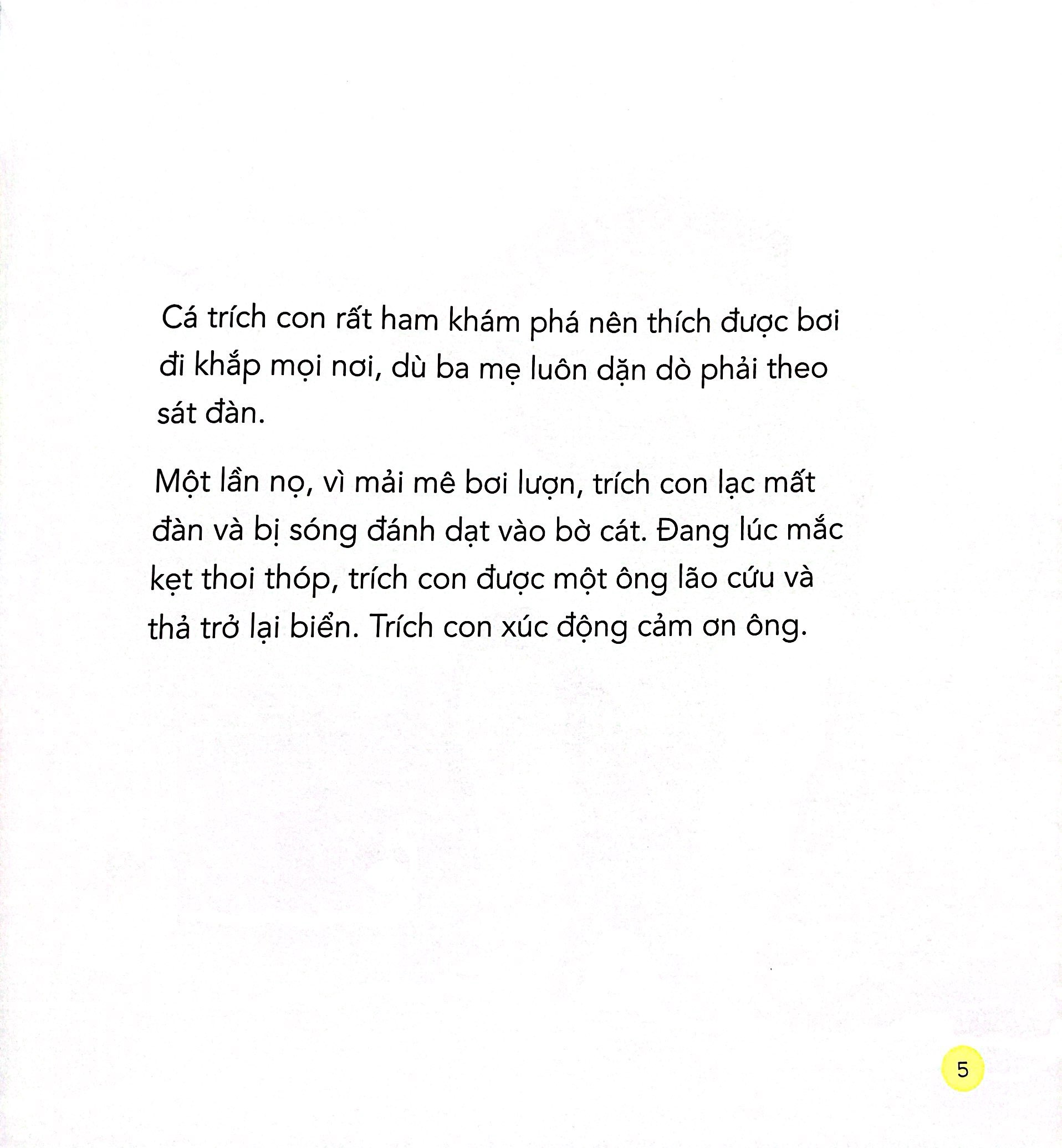 những bài học nhỏ - cá trích con cứu đàn - Ảnh 7