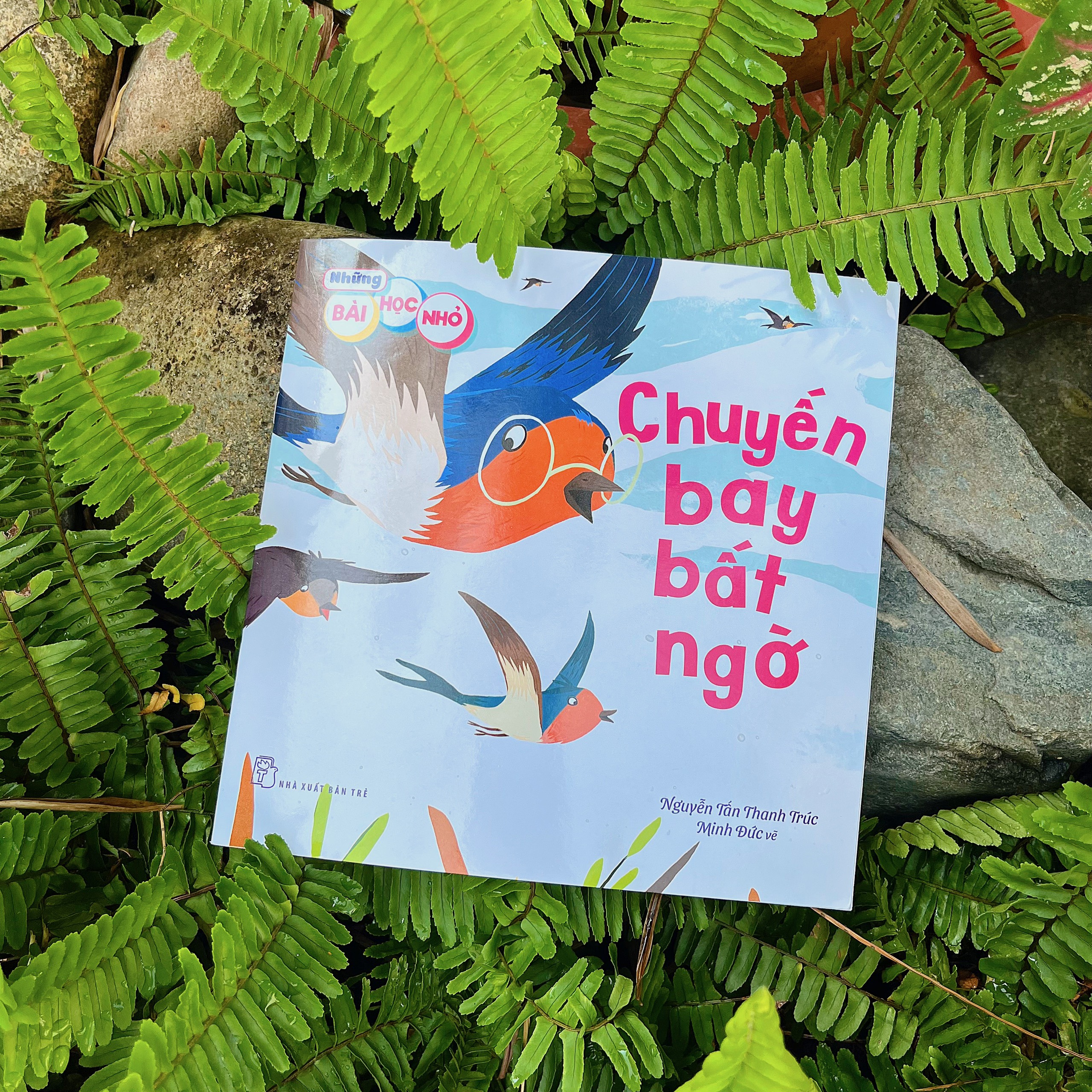 những bài học nhỏ - chuyến bay bất ngờ - Ảnh 4