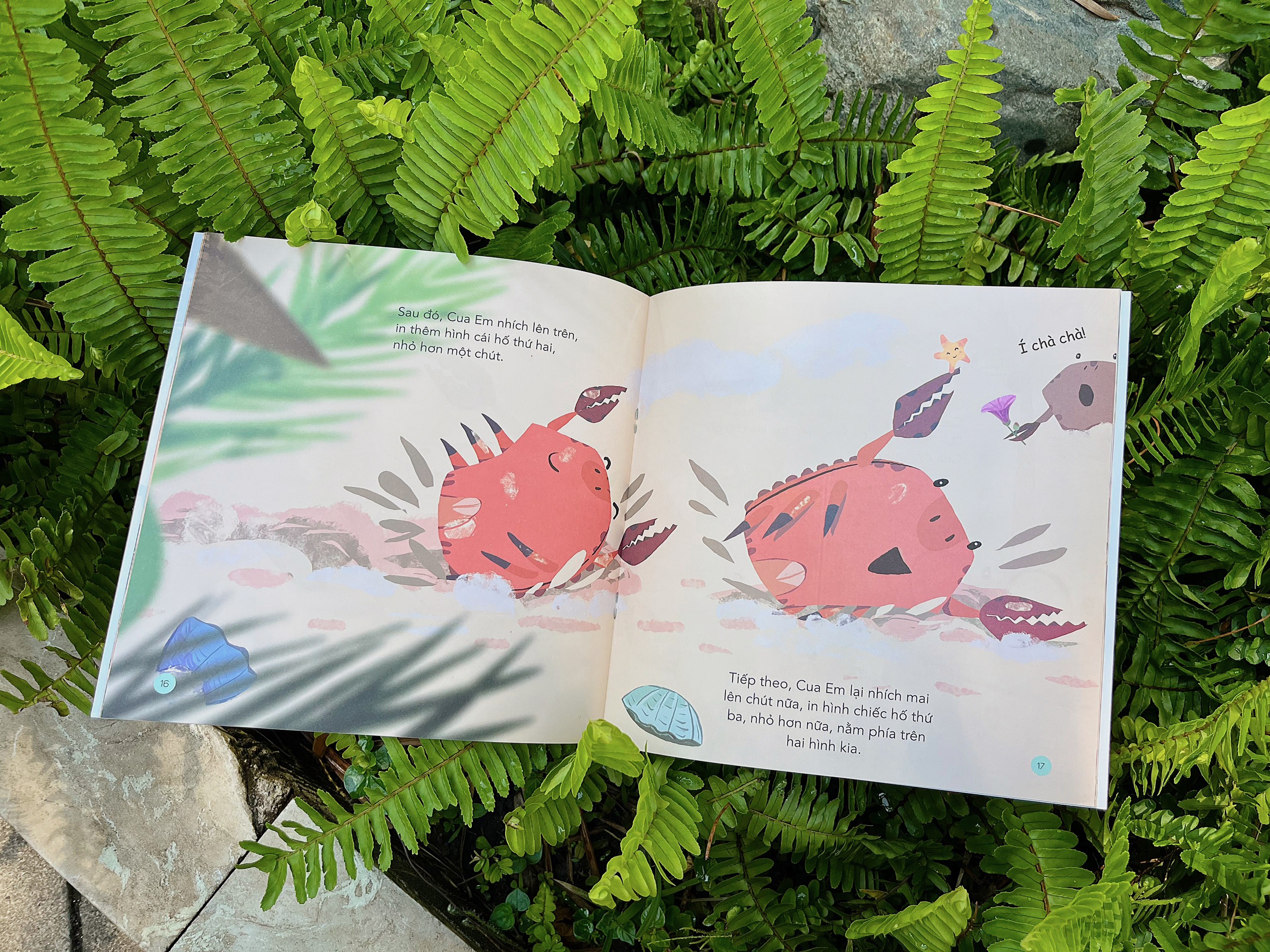 những bài học nhỏ - cua vẽ tranh cát - Ảnh 2