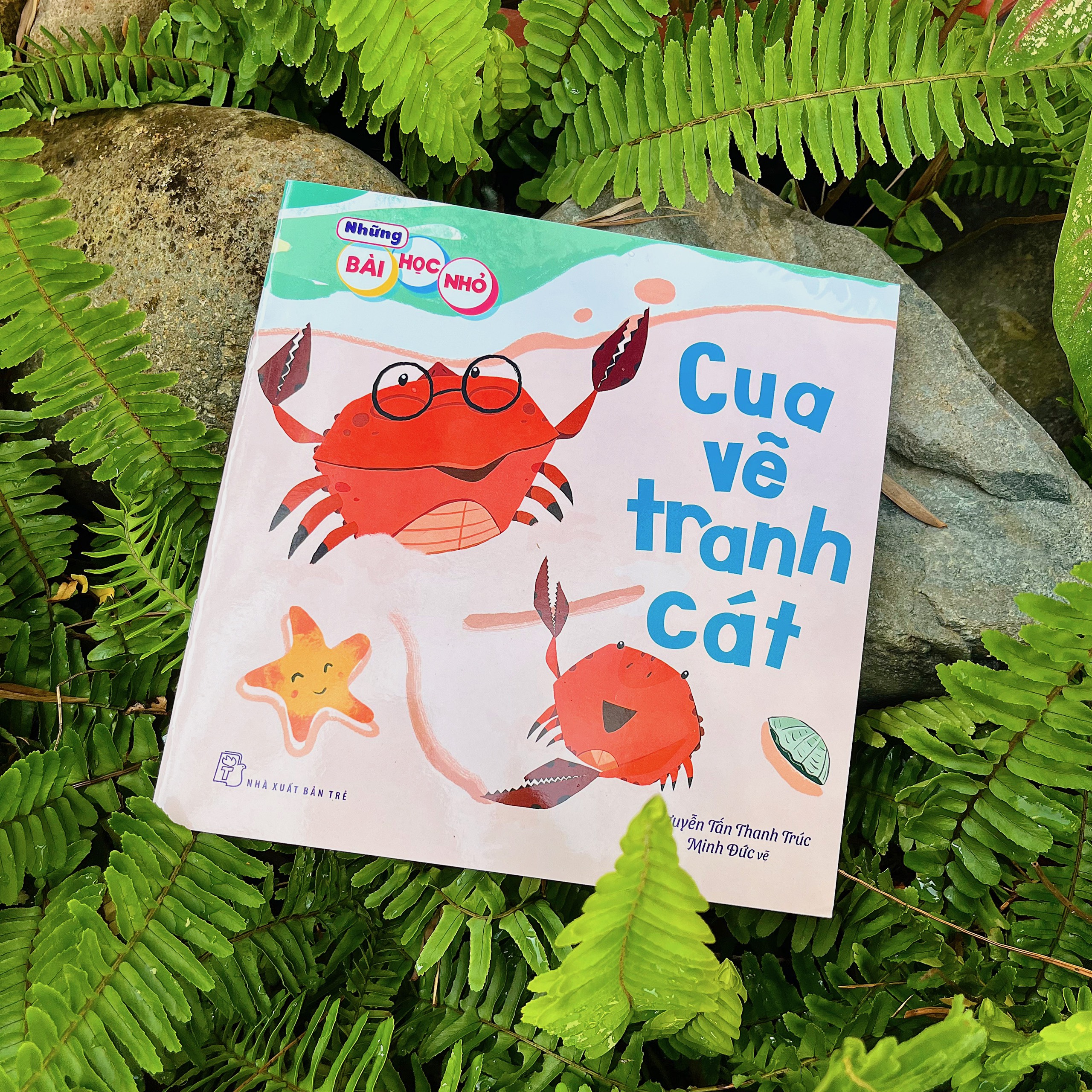 những bài học nhỏ - cua vẽ tranh cát - Ảnh 4