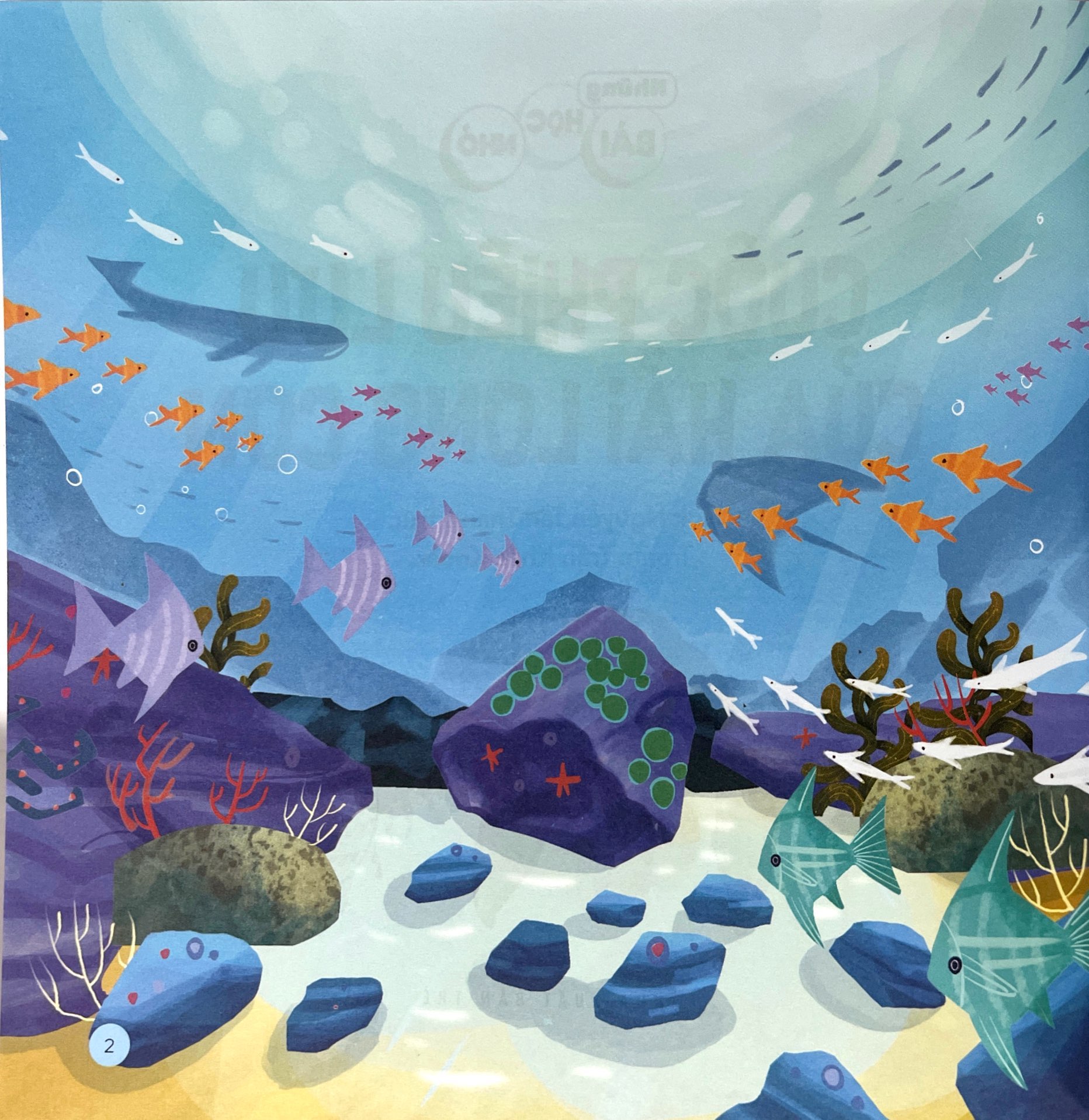 những bài học nhỏ - cuộc phiêu lưu của hải long con - Ảnh 4