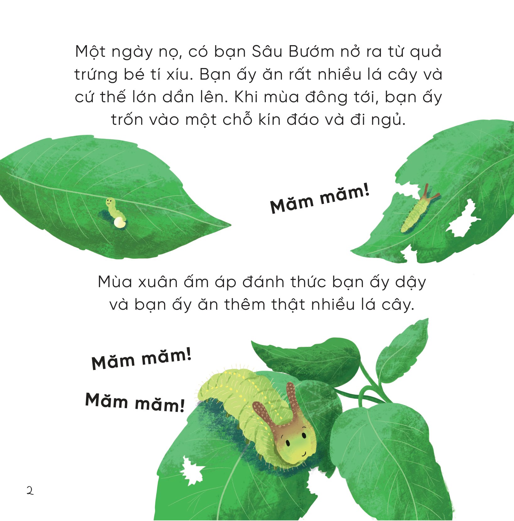 những bài học nhỏ từ rừng xanh - chú bướm kiêu căng học cách kết bạn - Ảnh 3