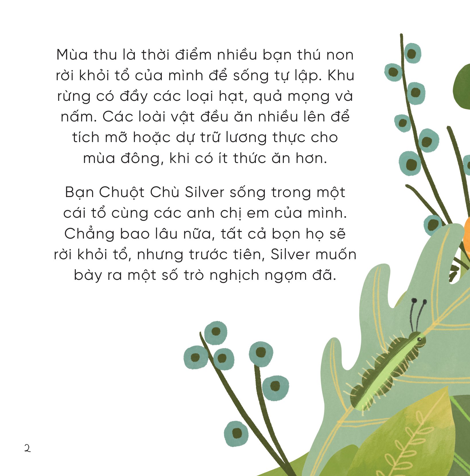 những bài học nhỏ từ rừng xanh - chuột chù nghịch ngợm học cách sửa sai - Ảnh 3