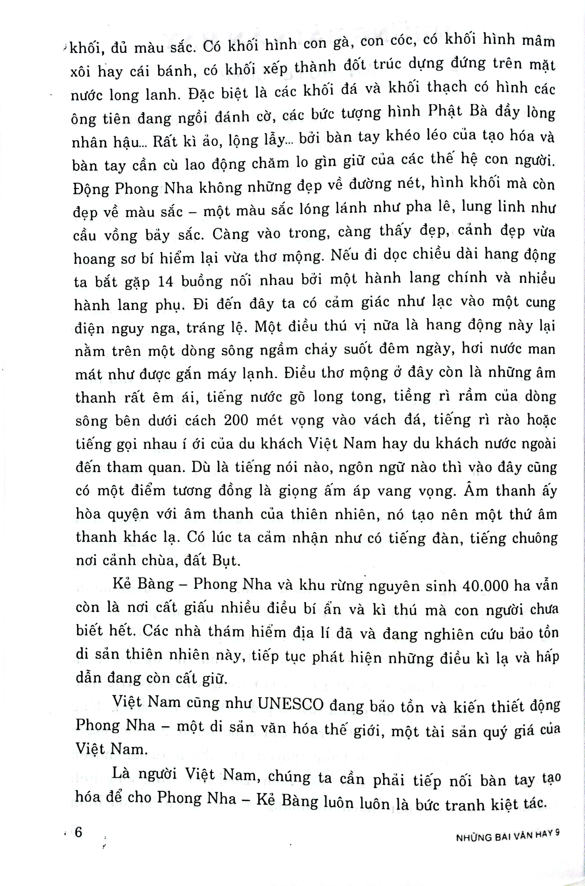 những bài văn hay 9 (theo chương trình giáo dục phổ thông mới) - Ảnh 6