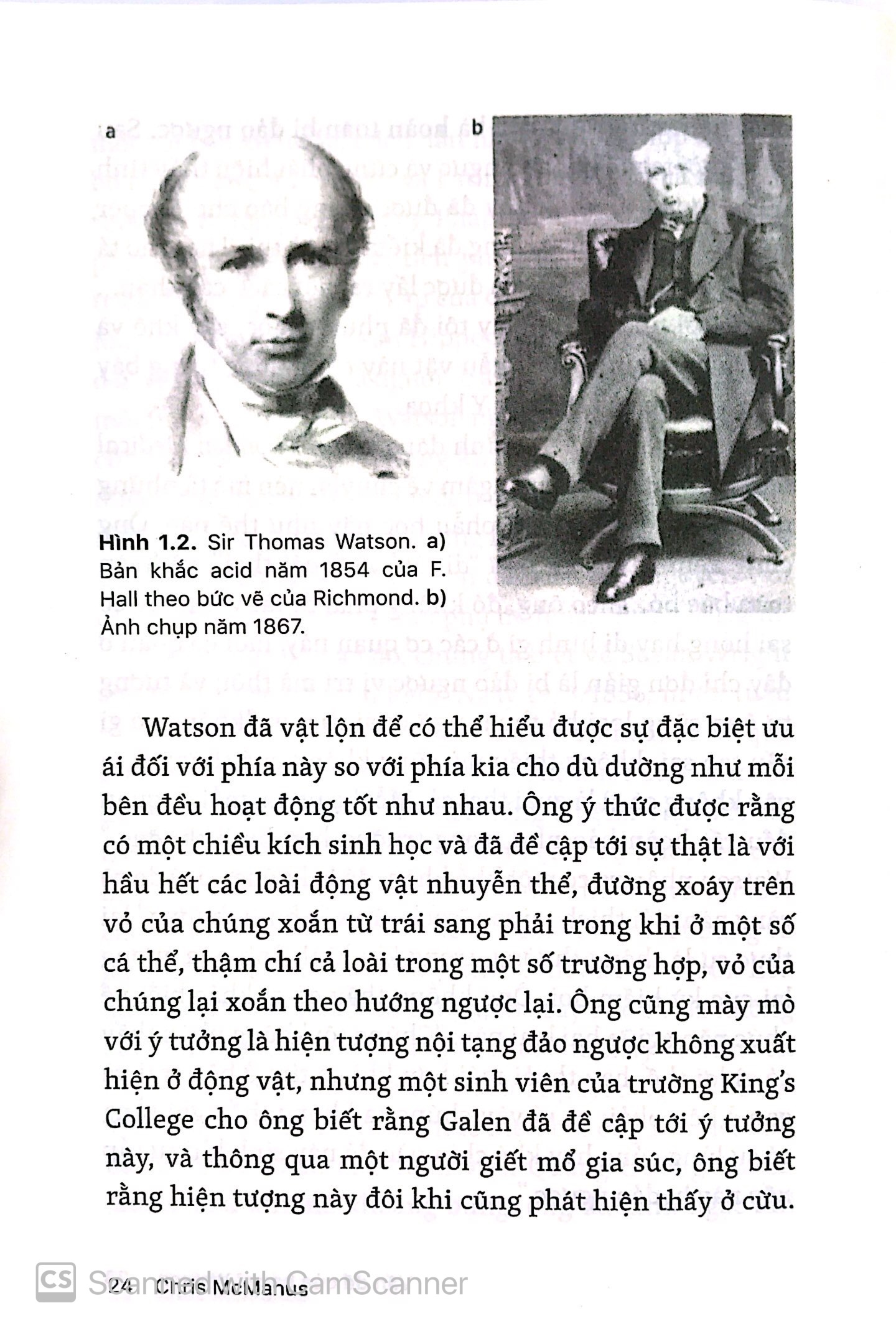 những bí ẩn của tay phải và tay trái - Ảnh 9