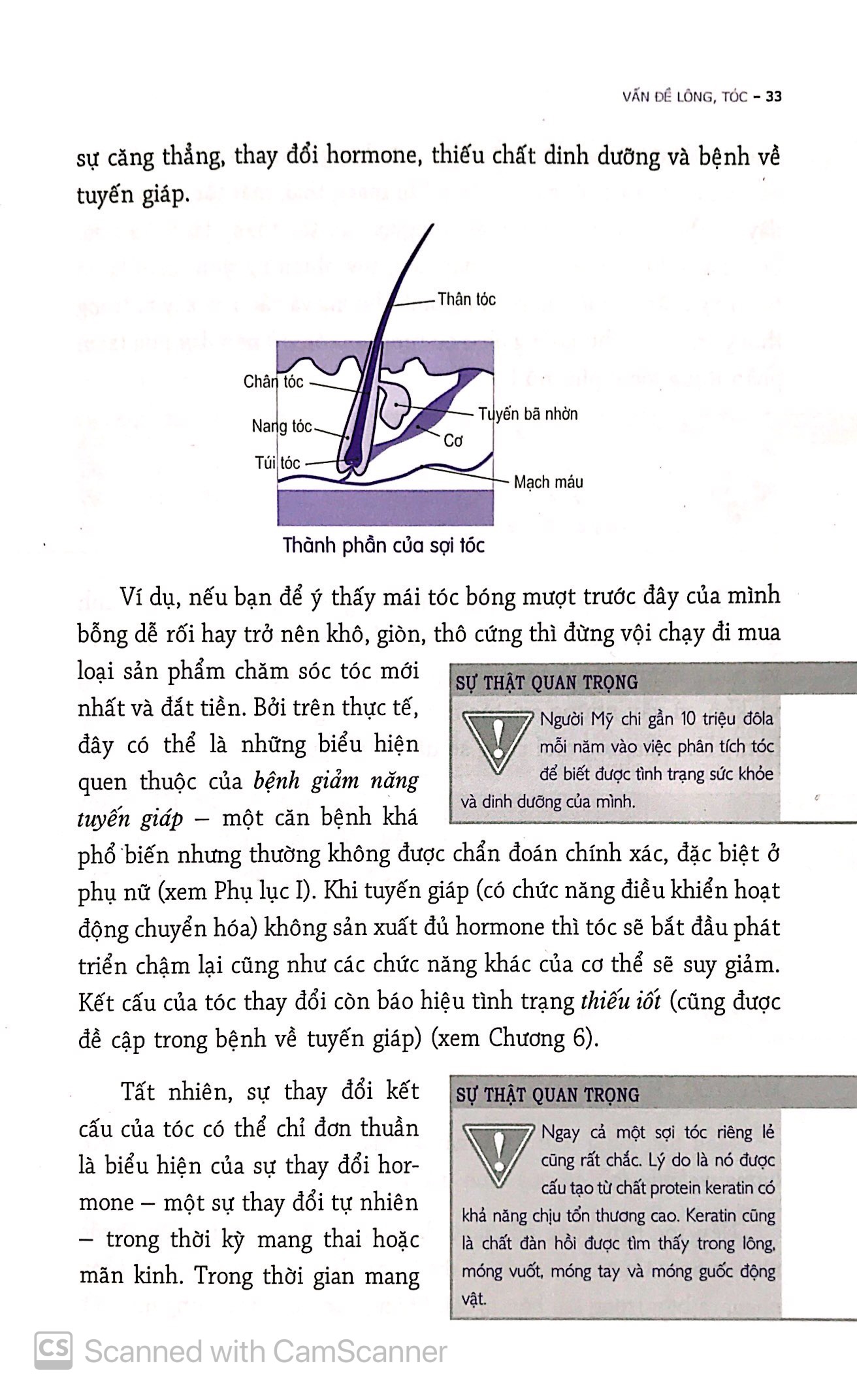 những biểu hiện của cơ thể - Ảnh 6