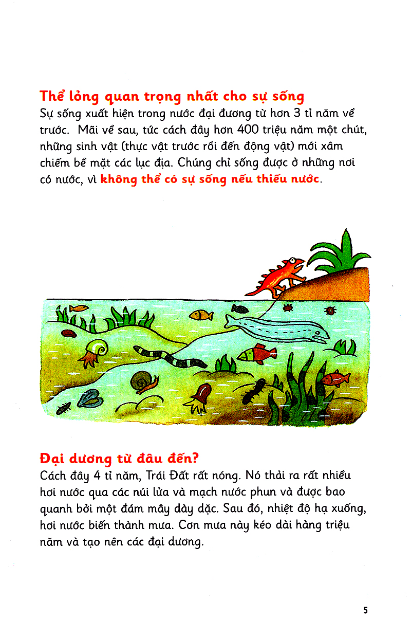 những bước đi nhỏ - nước - Ảnh 5