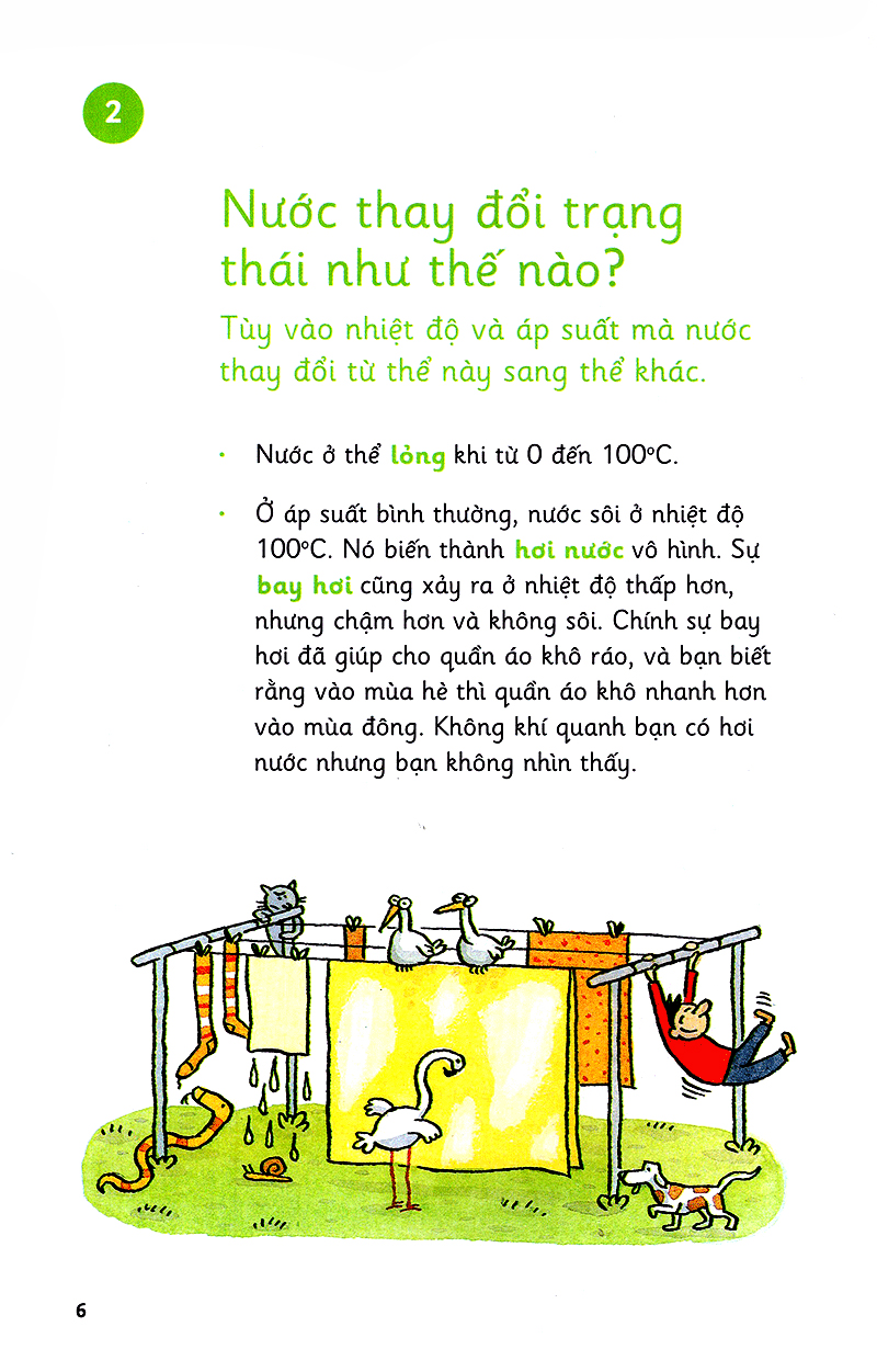 những bước đi nhỏ - nước - Ảnh 6
