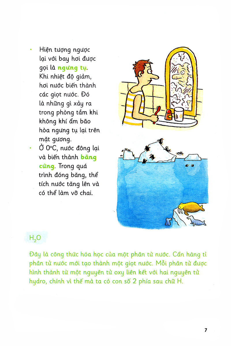 những bước đi nhỏ - nước - Ảnh 7