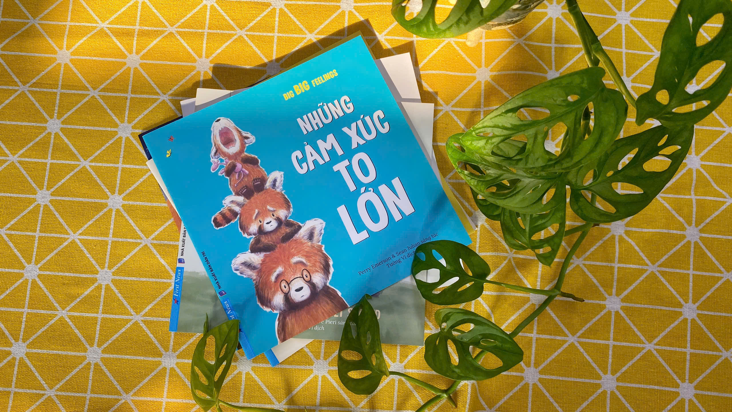 những cảm xúc to lớn - big big feeling - Ảnh 3