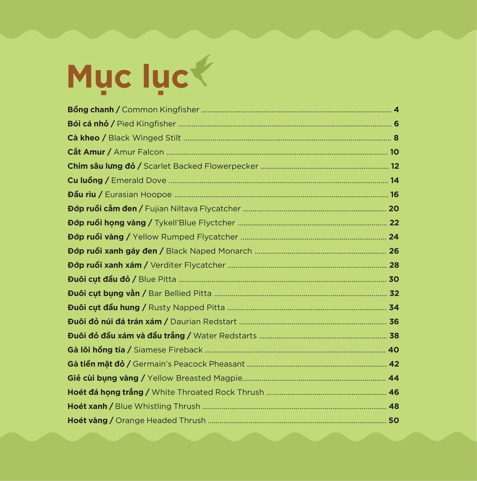 Những Cánh Chim Hoang Dã - 45 Loài Chim Đẹp Việt Nam - Ảnh 9