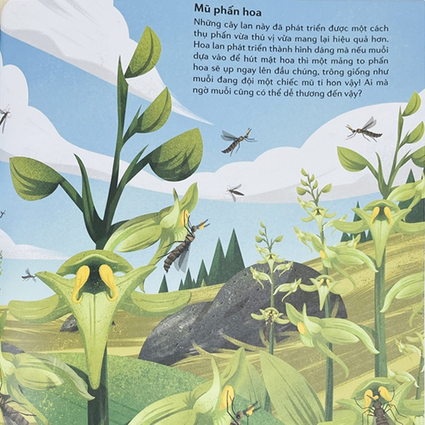 những cặp bài trùng trong thế giới động vật - mối quan hệ cộng sinh thú vị trong thế giới động thực vật - Ảnh 4