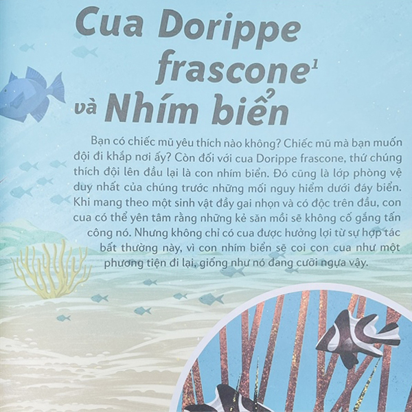 những cặp bài trùng trong thế giới động vật - mối quan hệ cộng sinh thú vị trong thế giới động thực vật - Ảnh 5