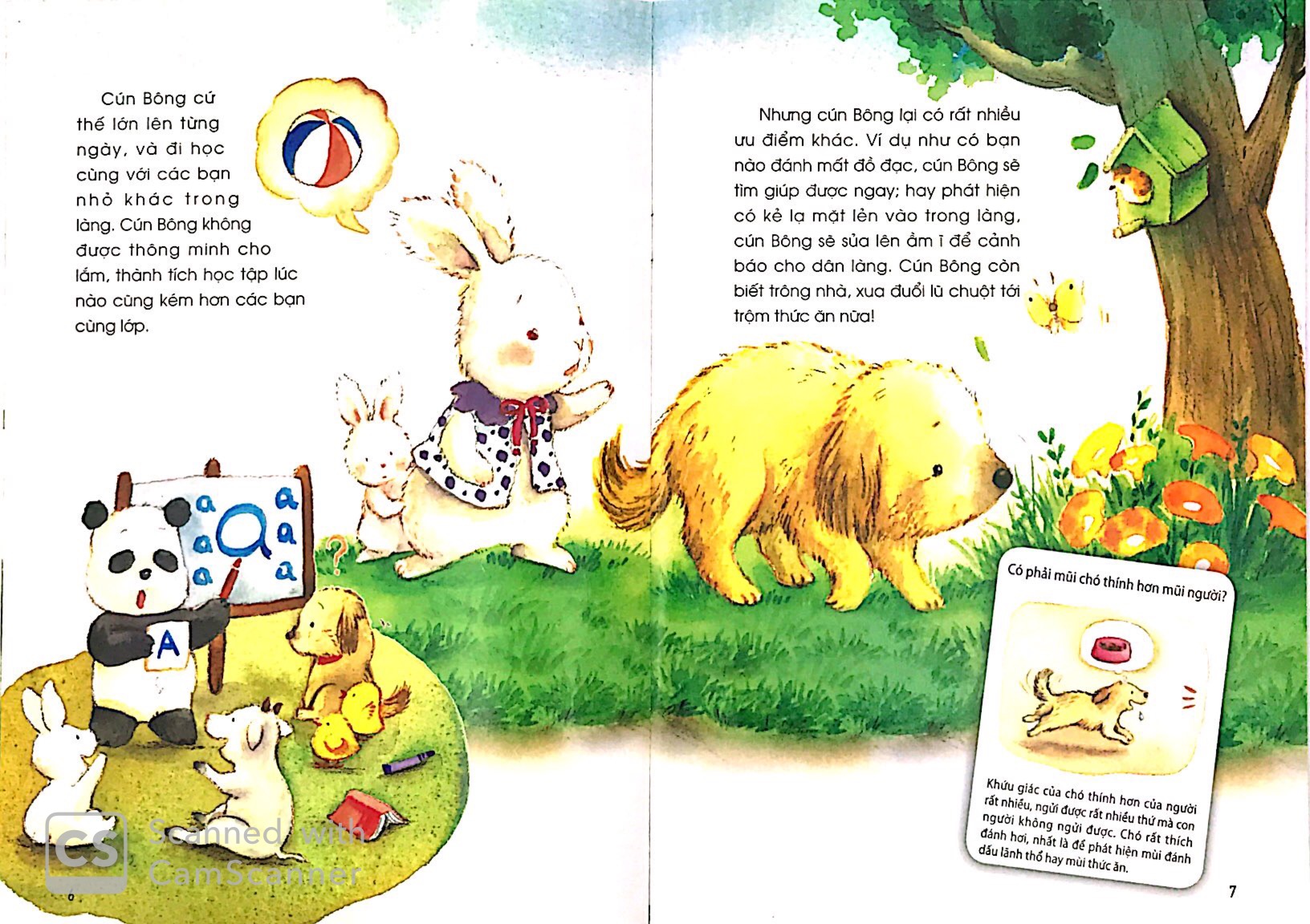 những câu chuyện thú vị về động vật - chiếc mũi thám tử - Ảnh 3