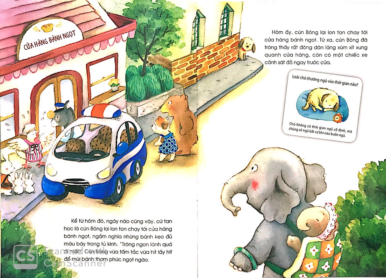 những câu chuyện thú vị về động vật - chiếc mũi thám tử - Ảnh 5