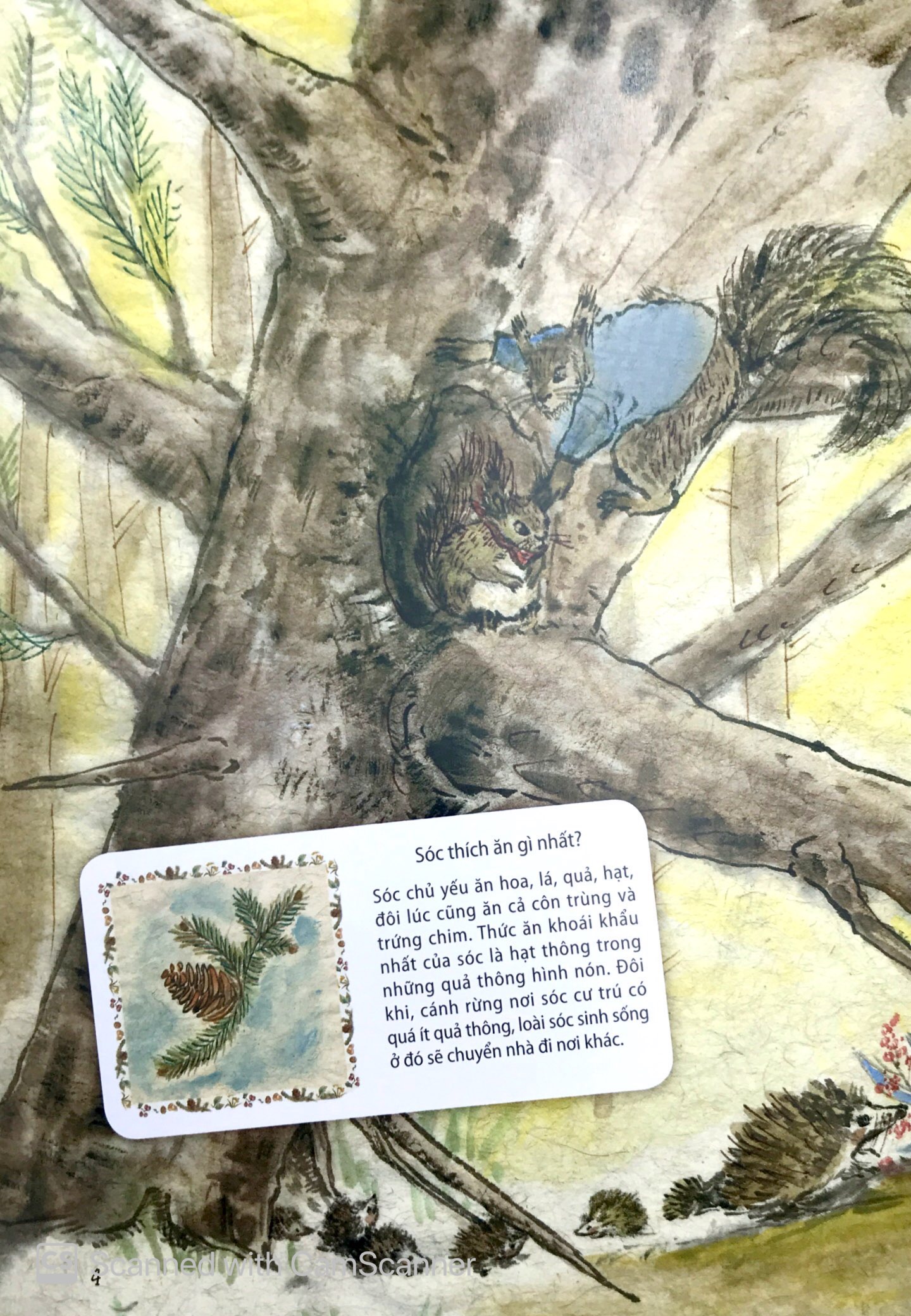 những câu chuyện thú vị về động vật - kiến trúc sư đại tài - Ảnh 3