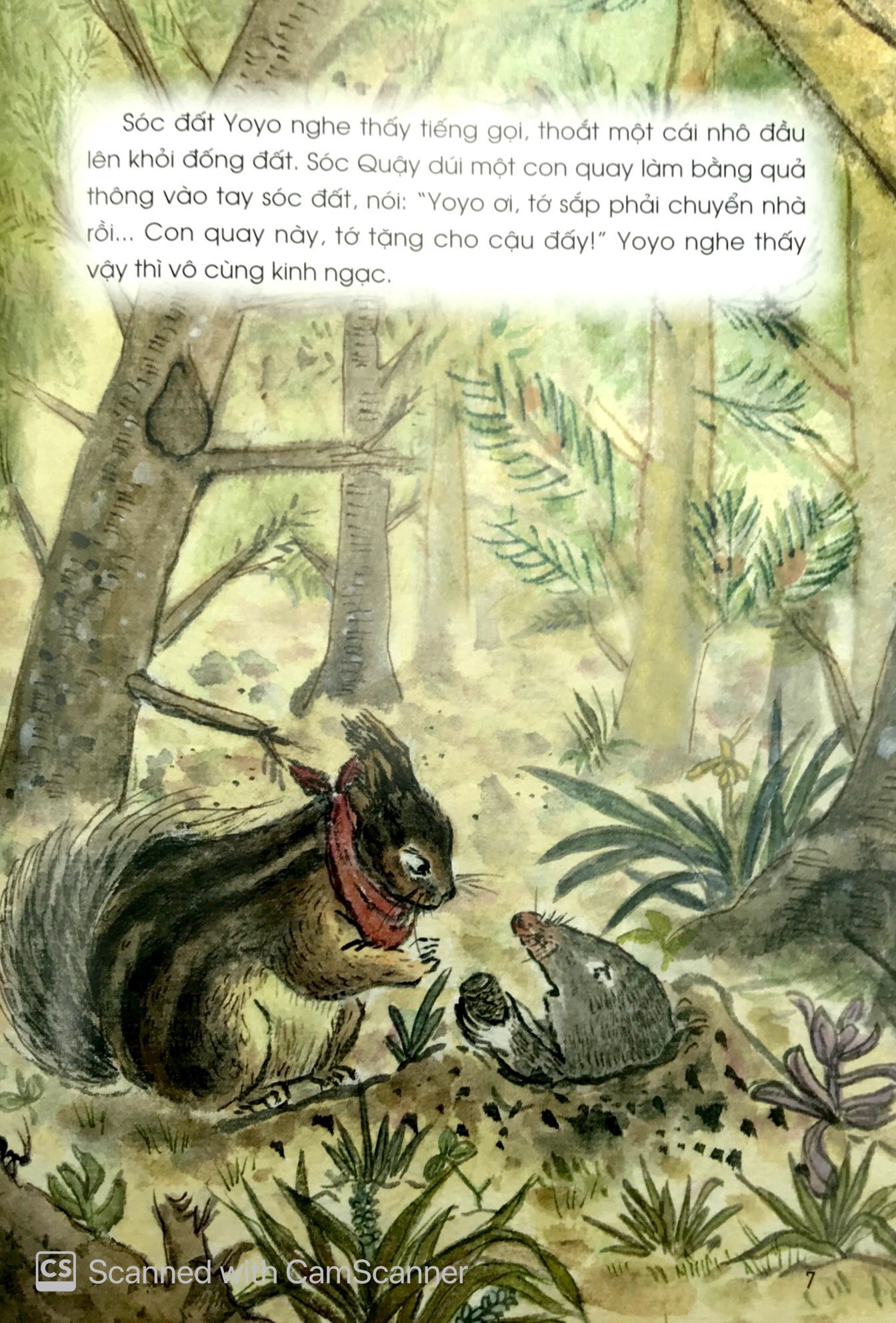 những câu chuyện thú vị về động vật - kiến trúc sư đại tài - Ảnh 6