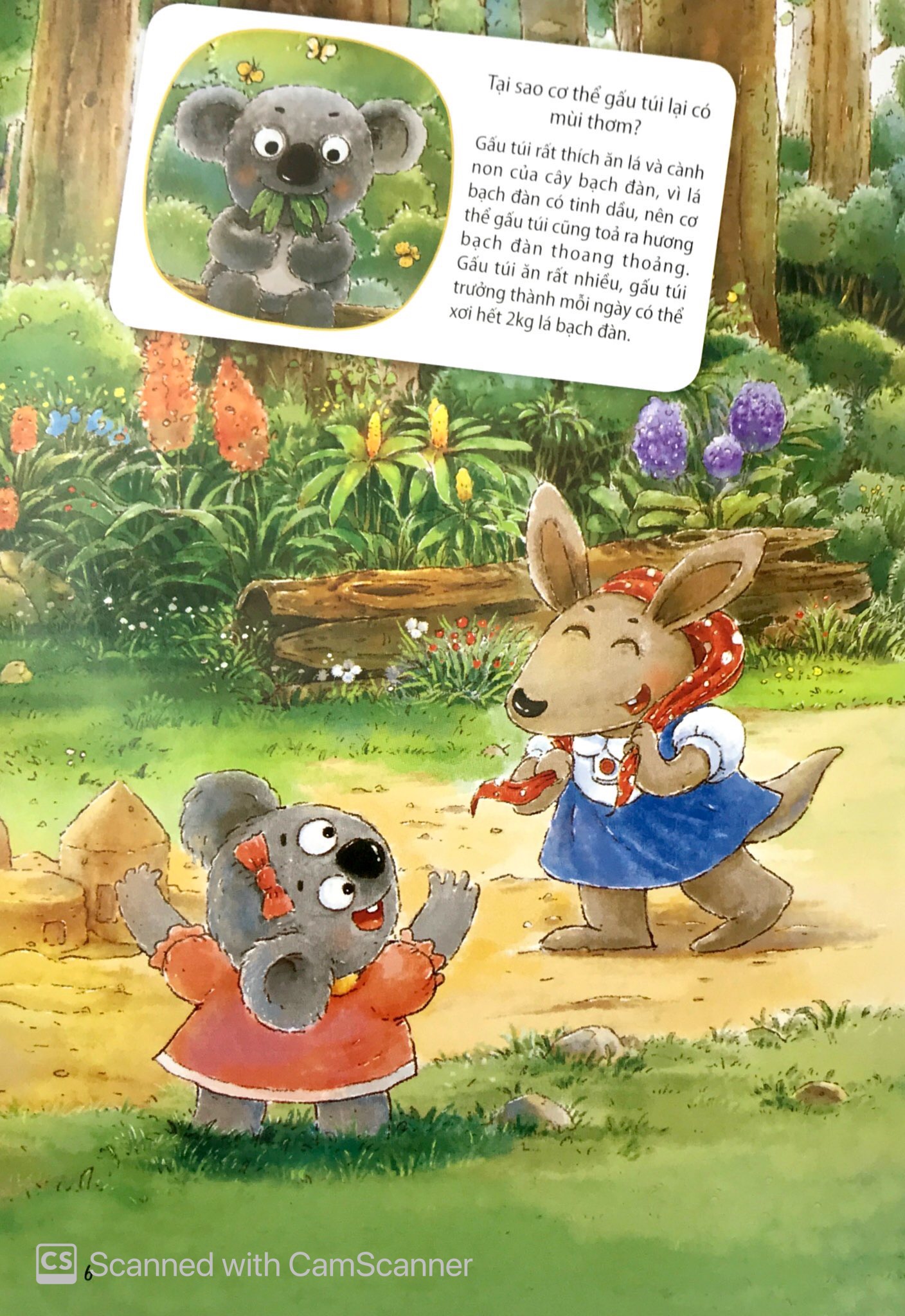 những câu chuyện thú vị về động vật - nàng thơm ko uống nước - Ảnh 4