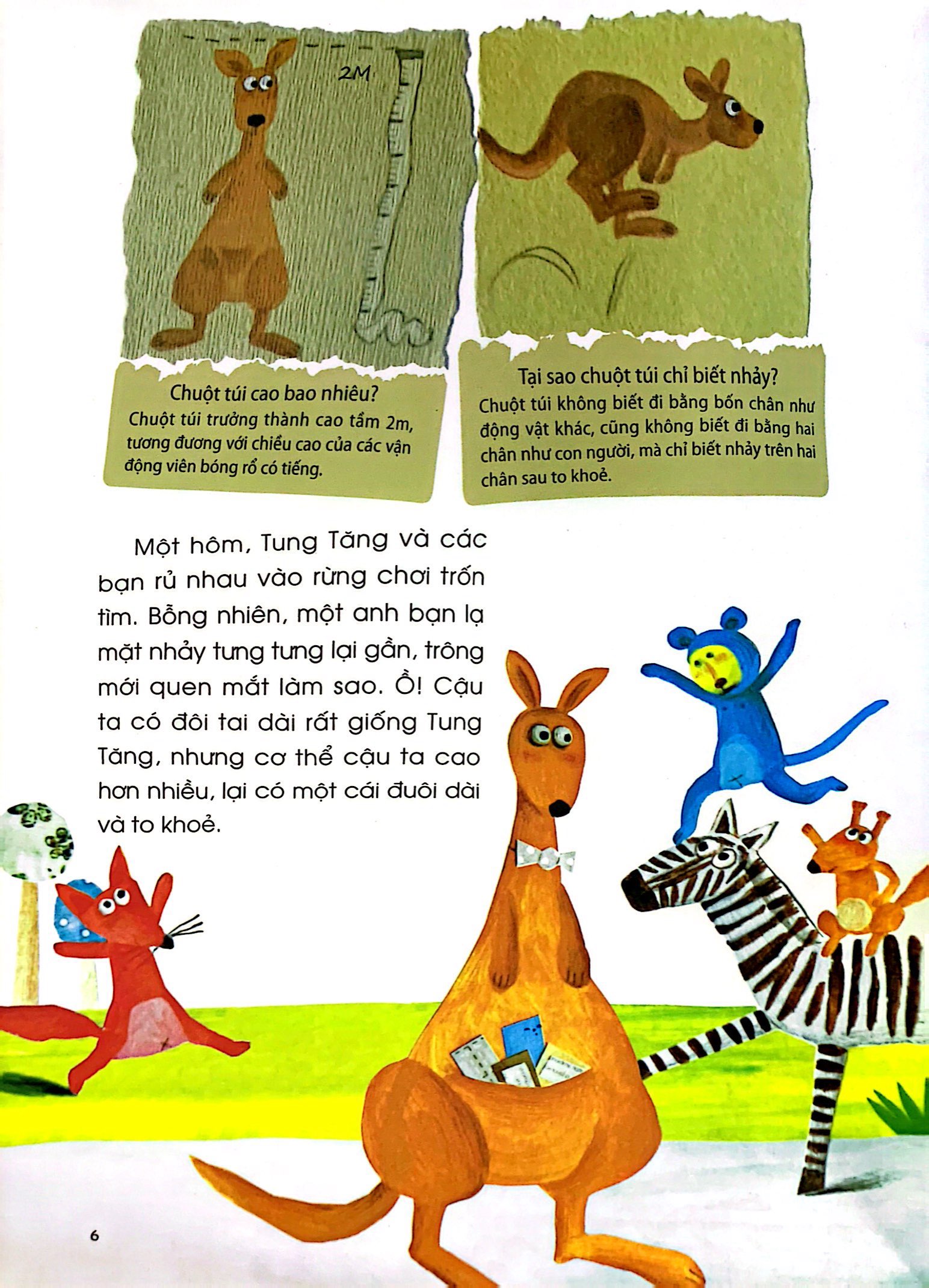 những câu chuyện thú vị về động vật - nhà vô địch không biết đi - Ảnh 5