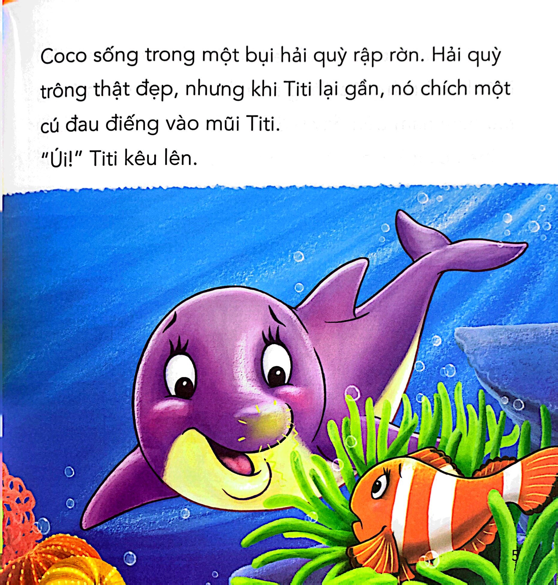 những câu chuyện tình bạn - cá heo titi và cua kiki - Ảnh 7