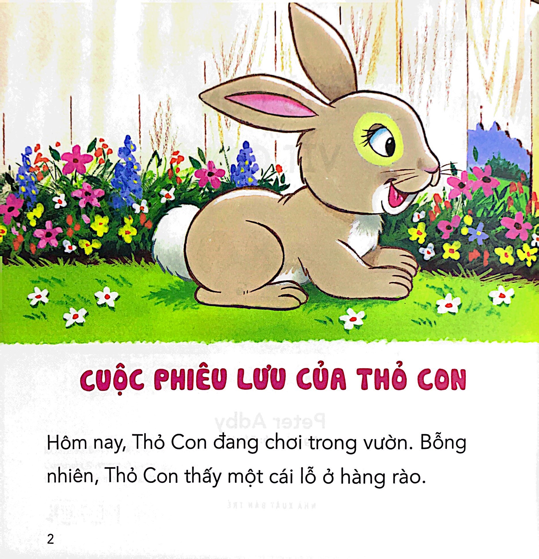 những câu chuyện tình bạn - thỏ con và vịt con - Ảnh 4
