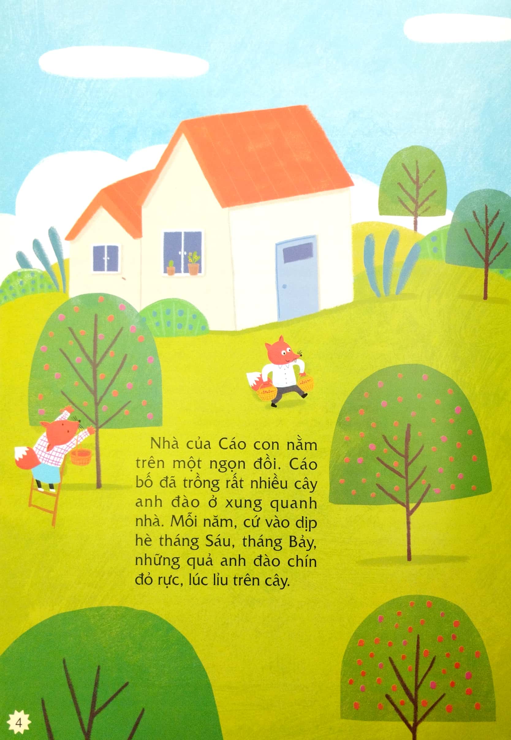 những câu chuyện về kiến thức an toàn trong cuộc sống - lên núi ăn anh đào - Ảnh 4