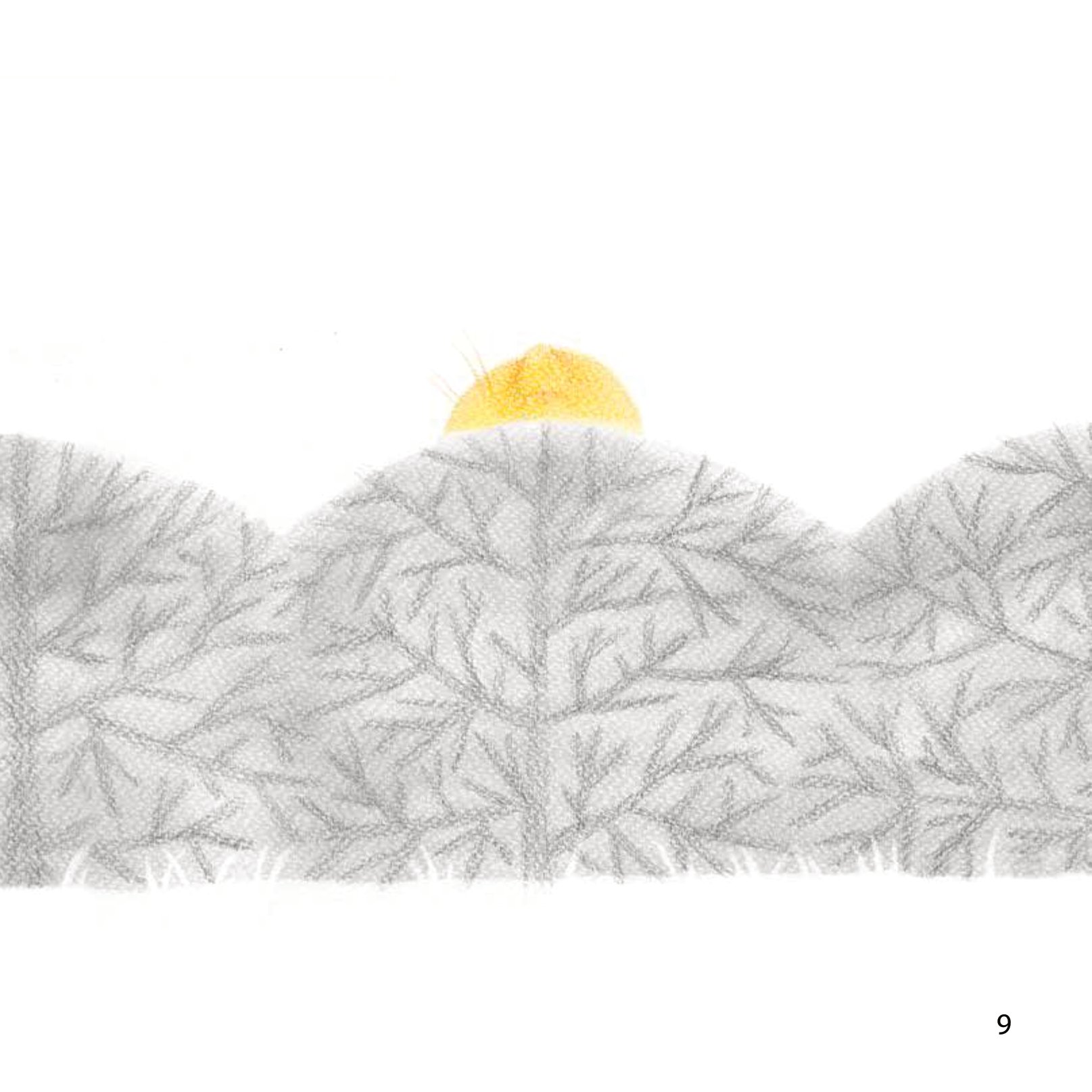 những câu chuyện về lòng tốt - hoa nở từ yêu thương - Ảnh 10