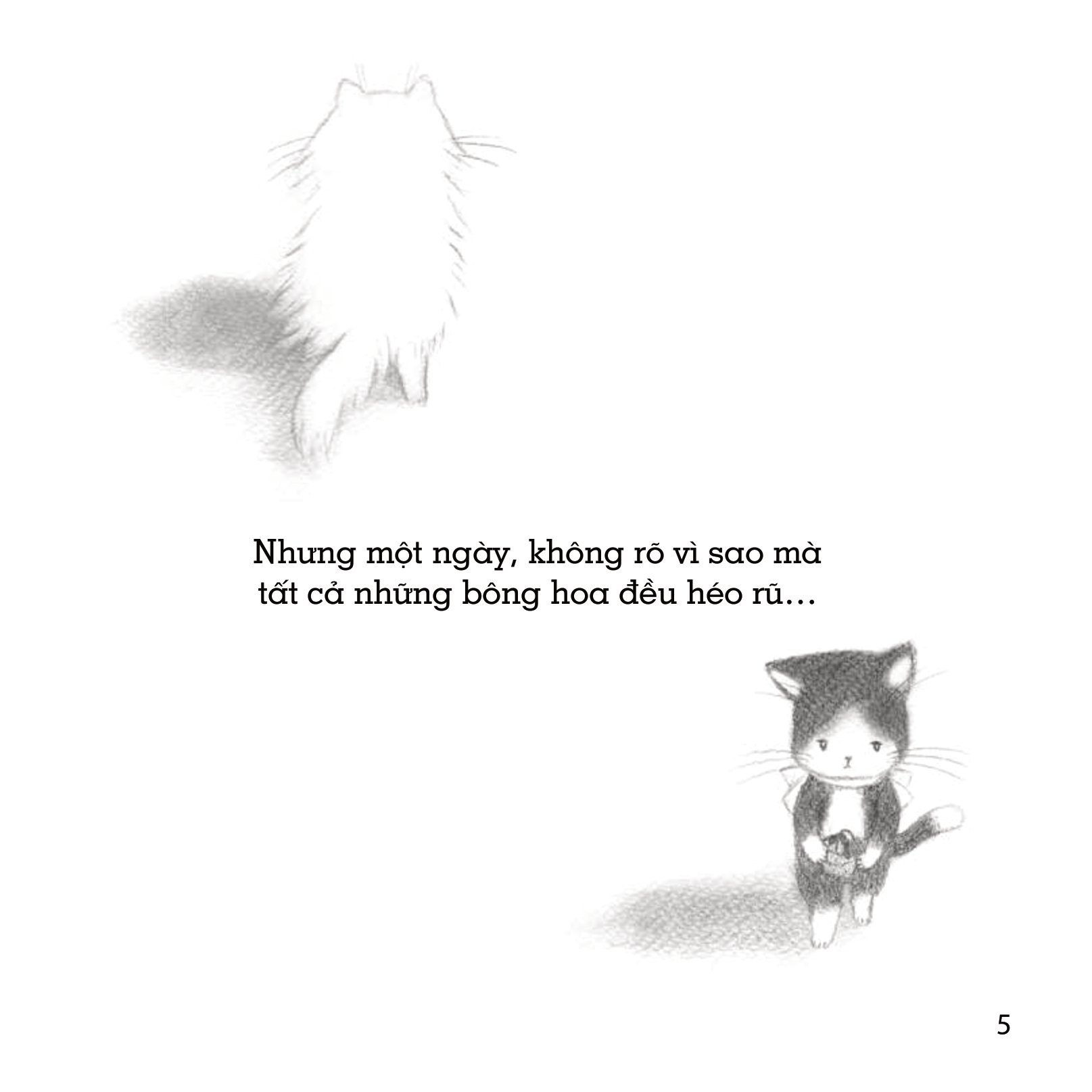 những câu chuyện về lòng tốt - hoa nở từ yêu thương - Ảnh 6