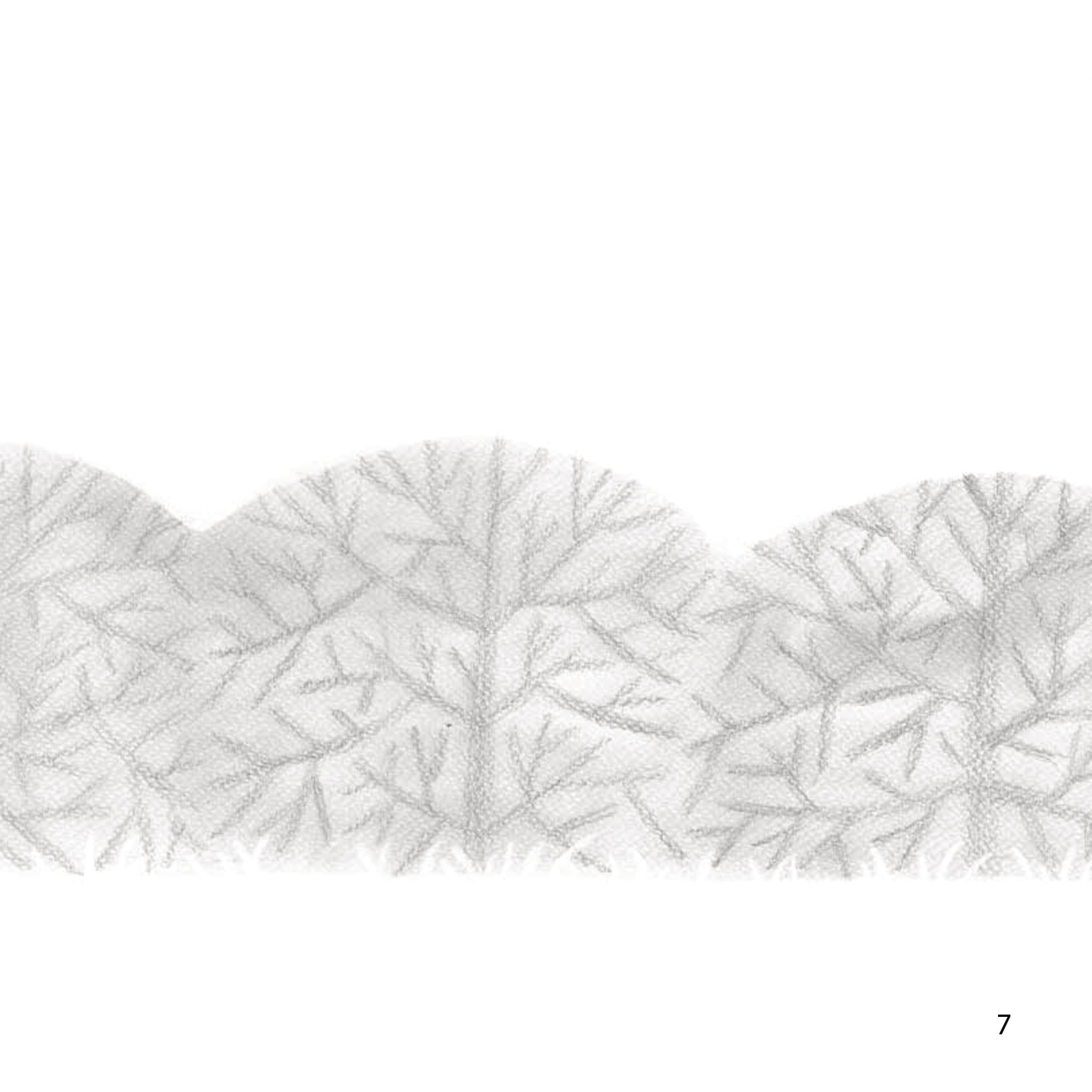 những câu chuyện về lòng tốt - hoa nở từ yêu thương - Ảnh 8