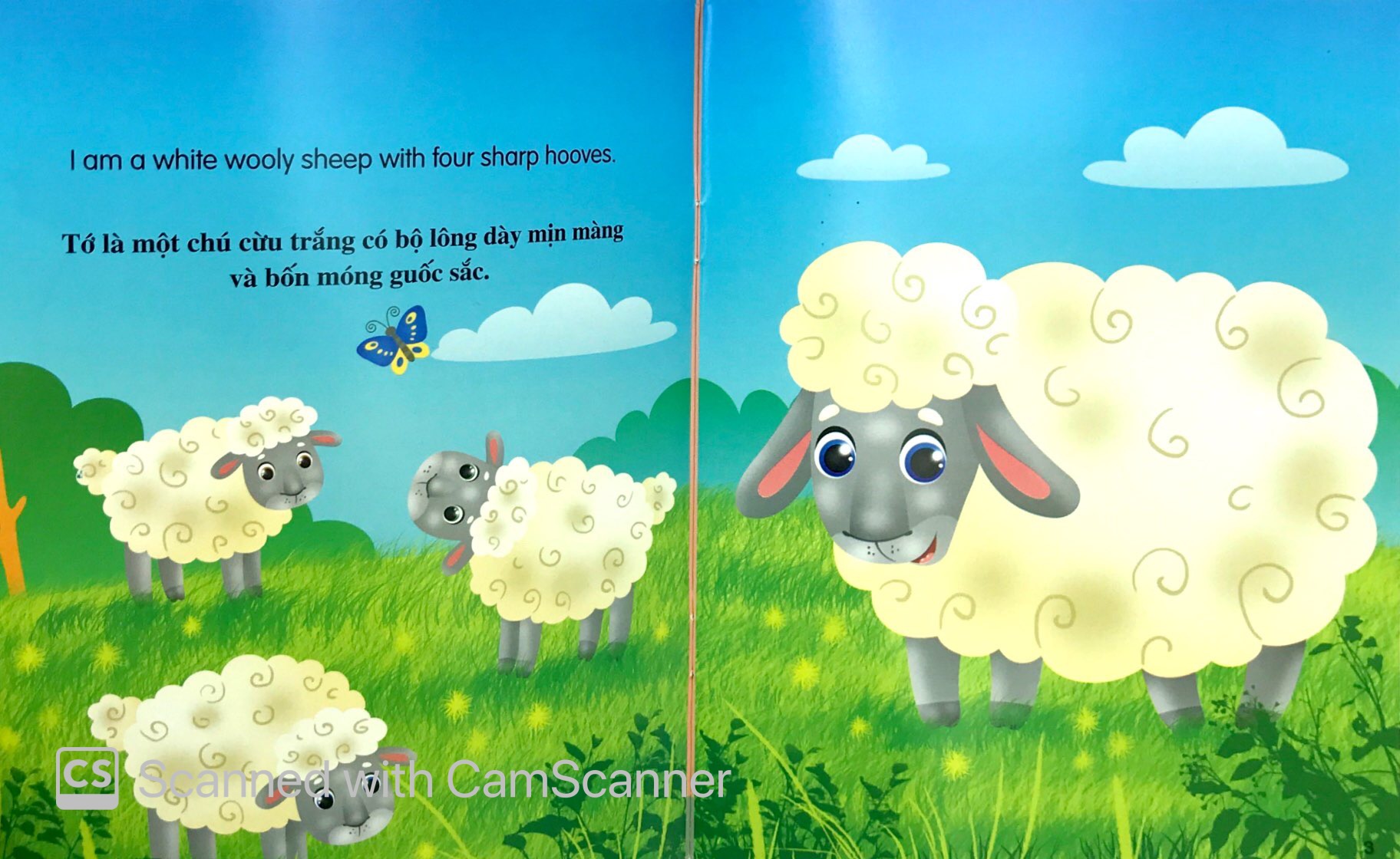 những câu chuyện về thế giới động vật - tớ là một chú cừu - i am a sheep (song ngữ anh - việt) - Ảnh 2
