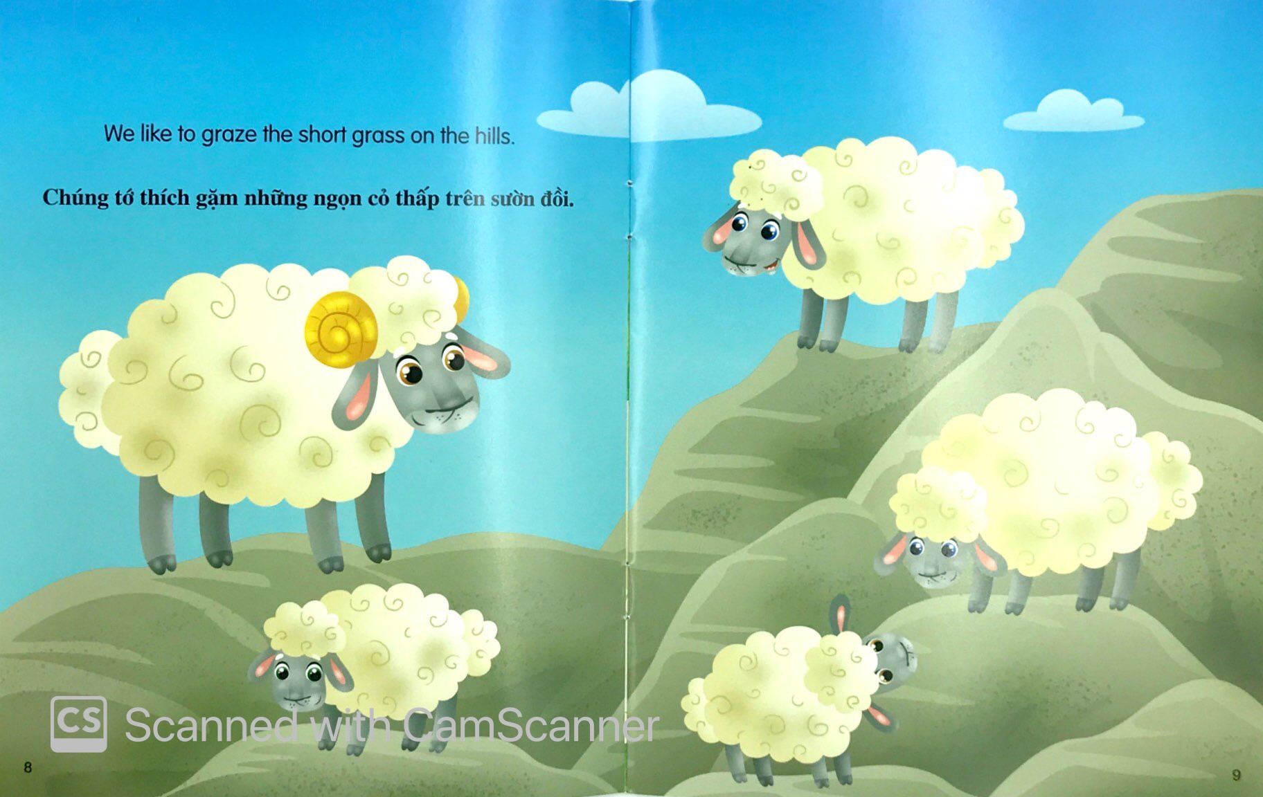 những câu chuyện về thế giới động vật - tớ là một chú cừu - i am a sheep (song ngữ anh - việt) - Ảnh 5
