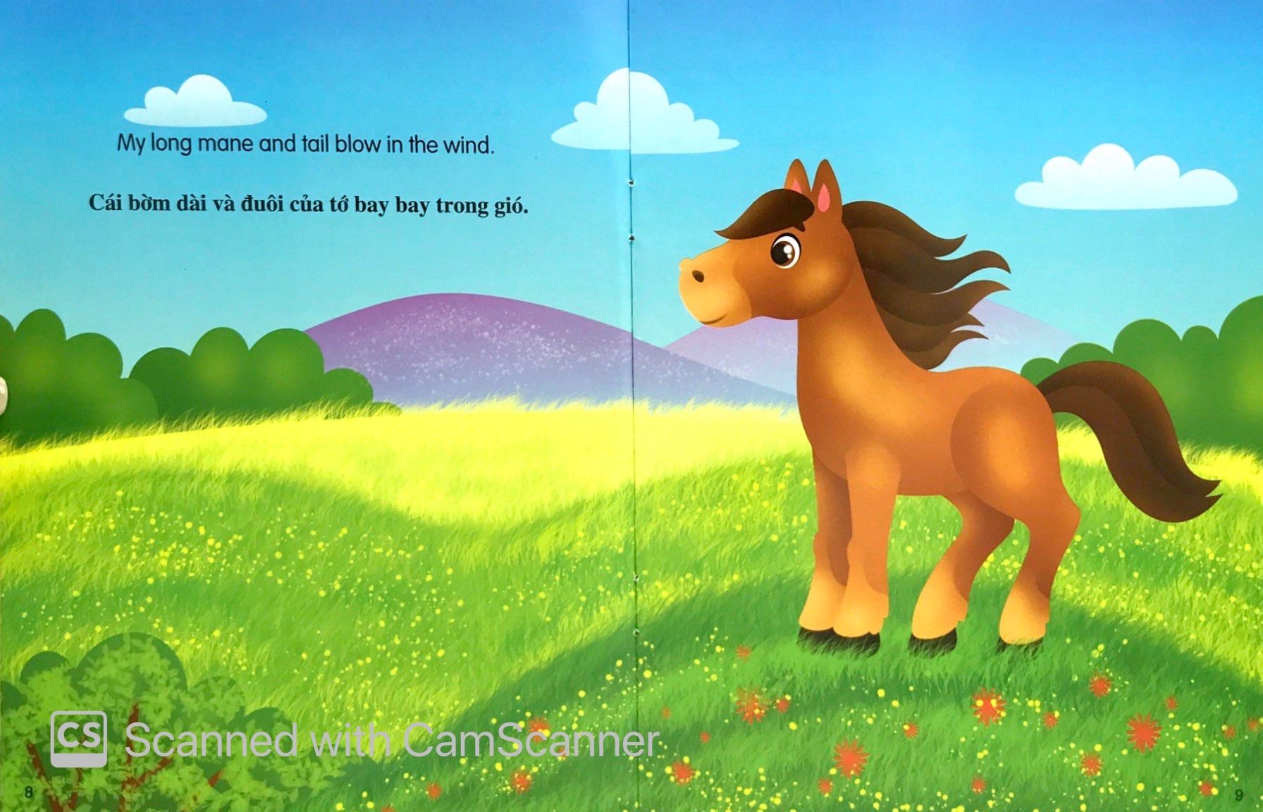 Những Câu Chuyện Về Thế Giới Động Vật - Tớ Là Một Chú Ngựa - I Am A Horse (Song Ngữ Anh-Việt) - Ảnh 5