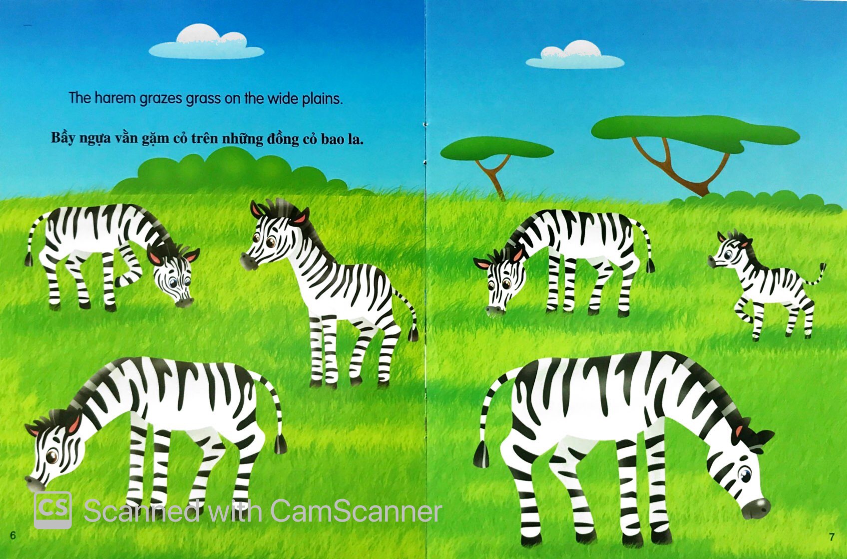 những câu chuyện về thế giới động vật - tớ là một chú ngựa vằn - i am a zebra (song ngữ anh-việt) - Ảnh 4